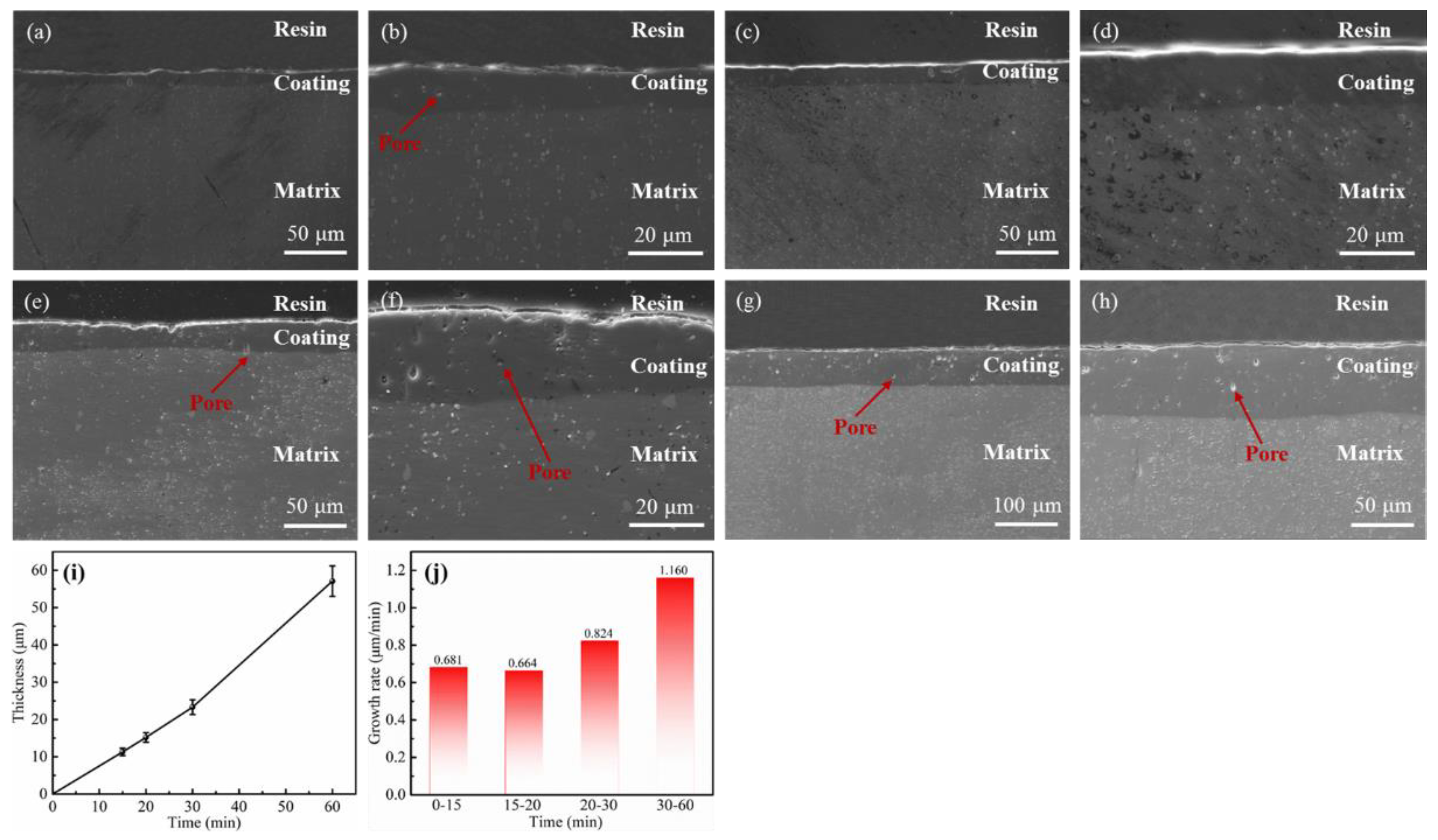 Coatings 13 01780 g006