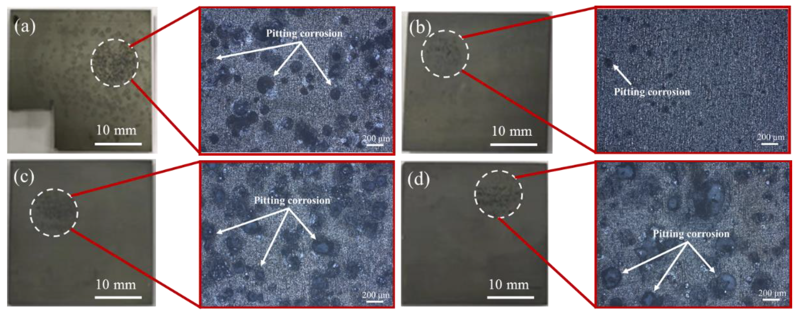 Coatings 13 01780 g009