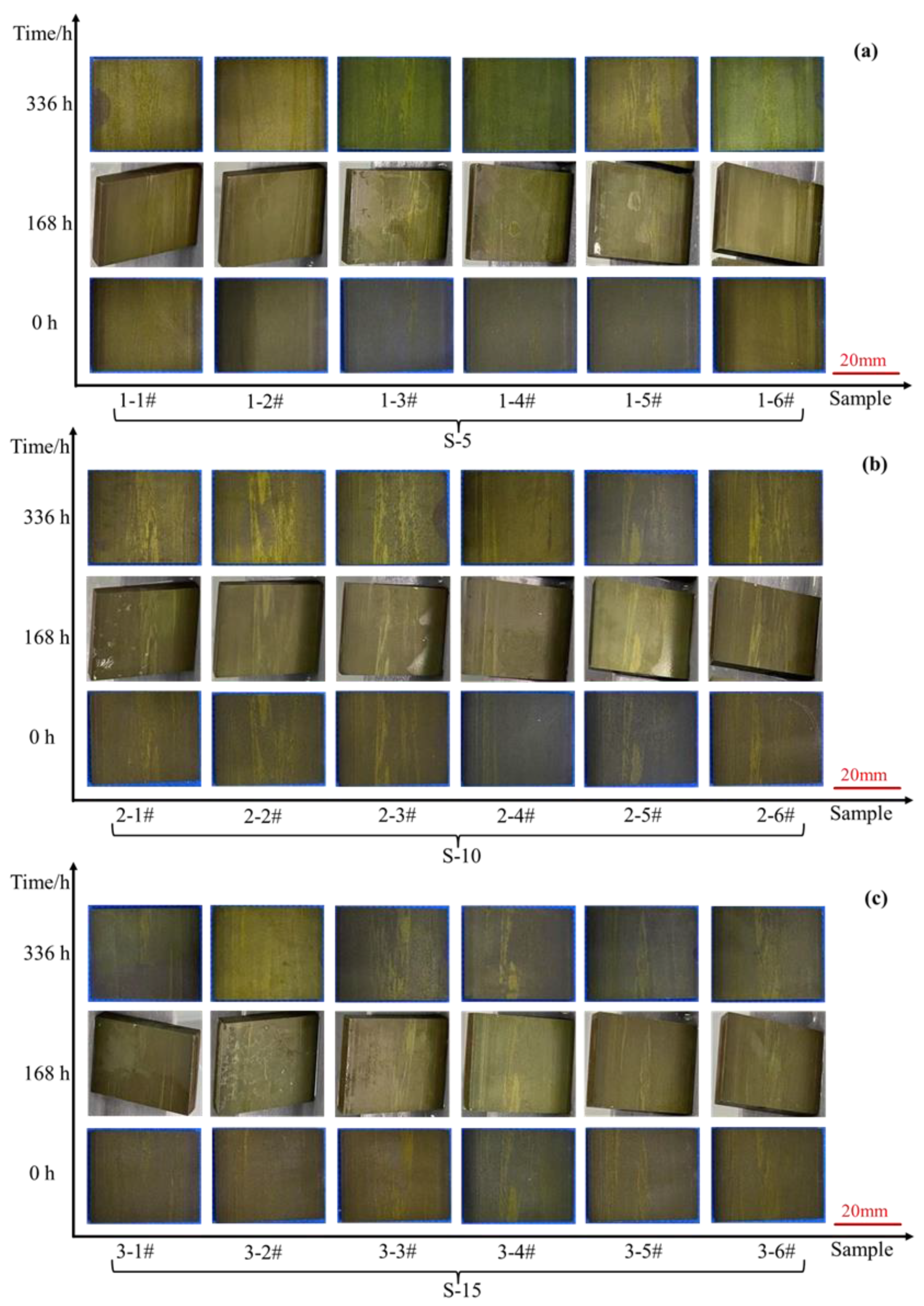 Coatings 13 01780 g012