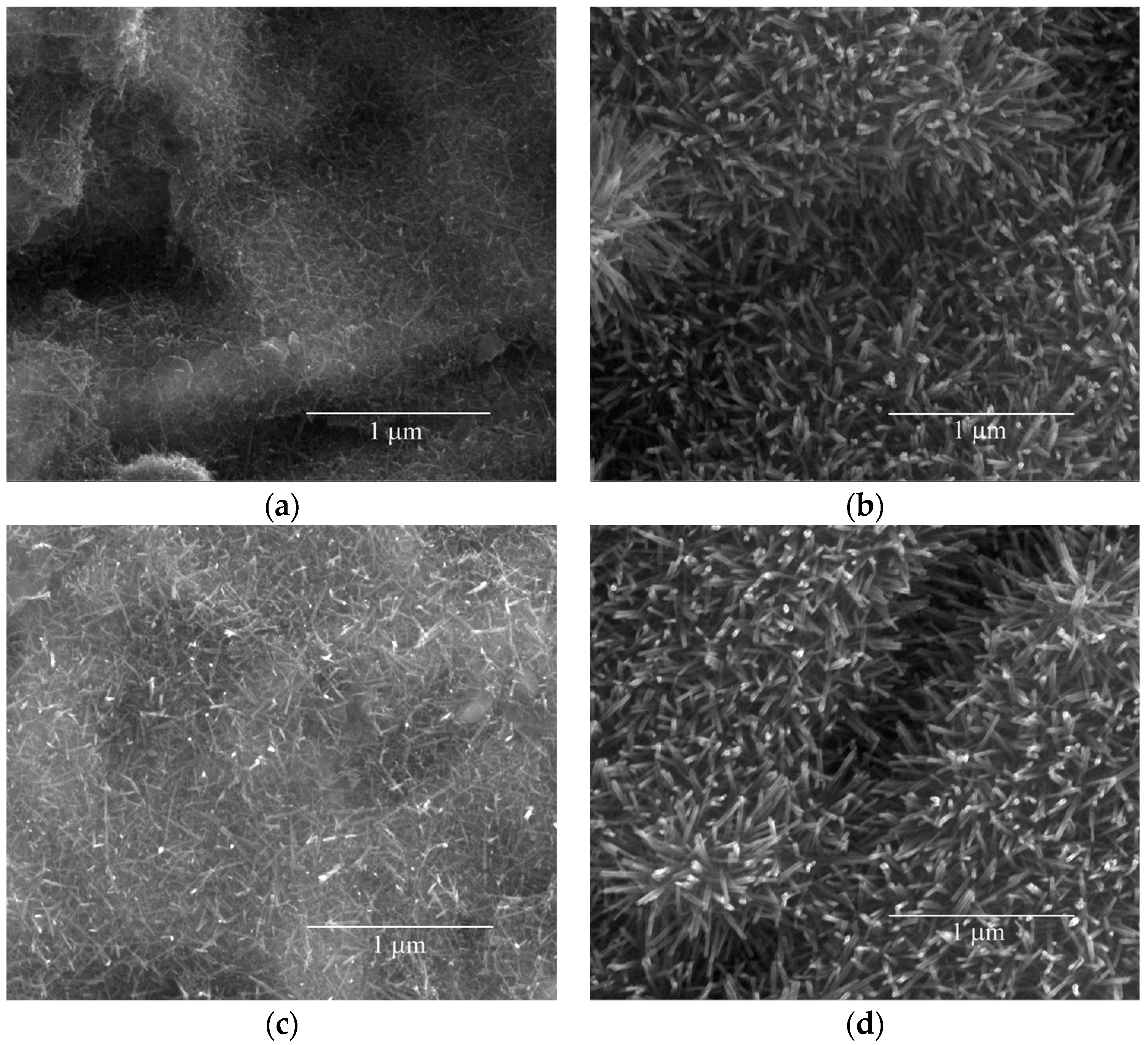 Coatings 13 01786 g001