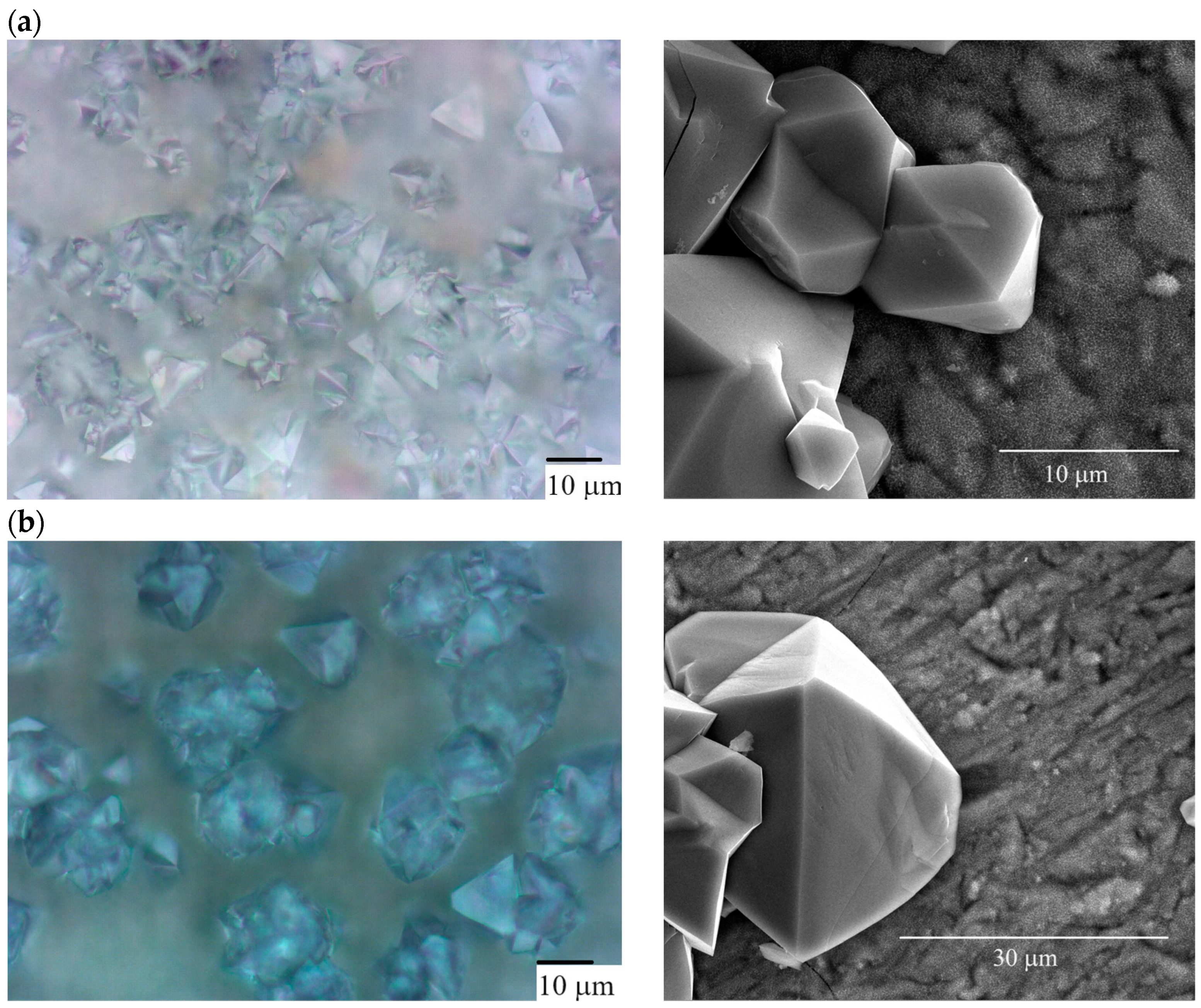 Coatings 13 01786 g002