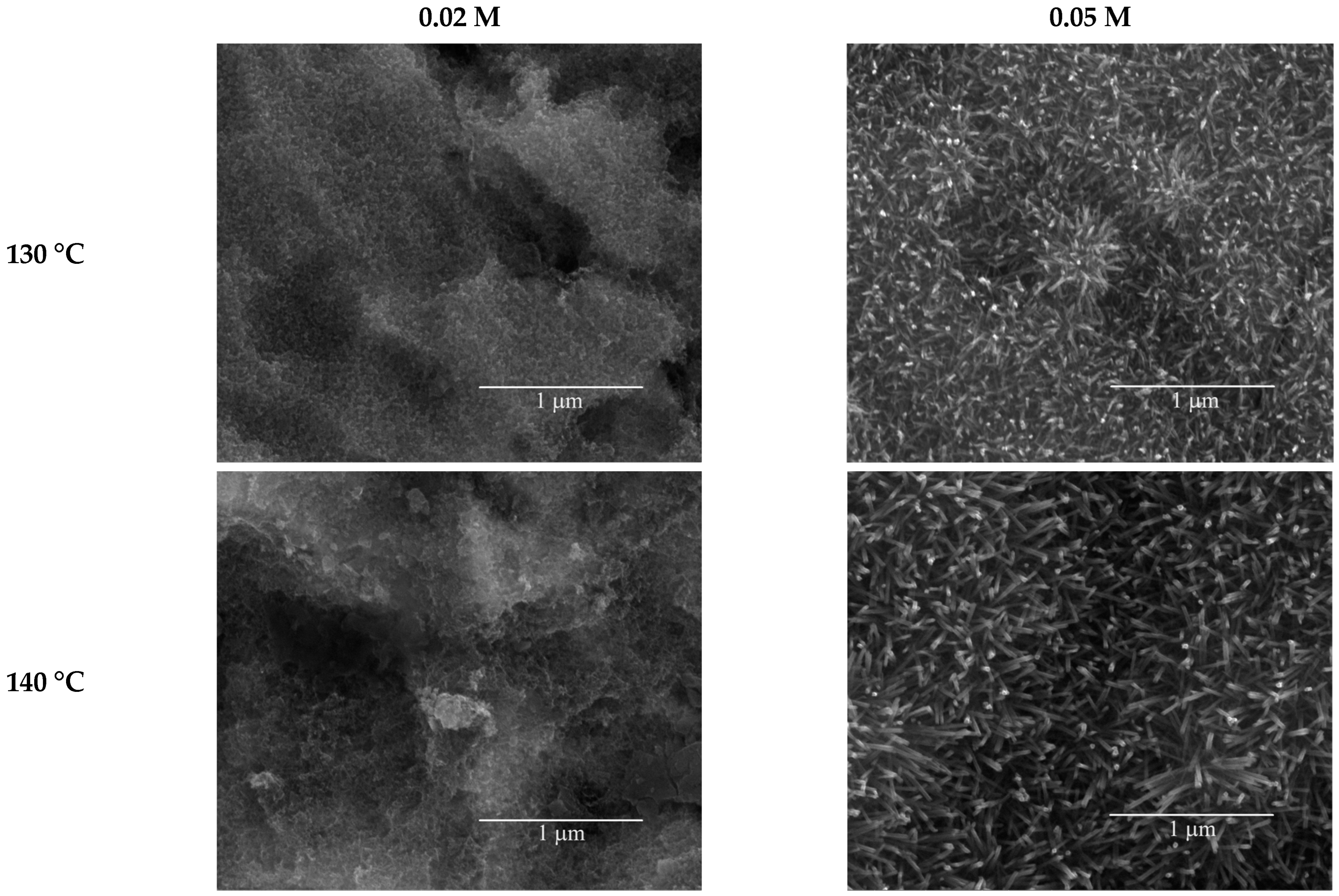 Coatings 13 01786 g003