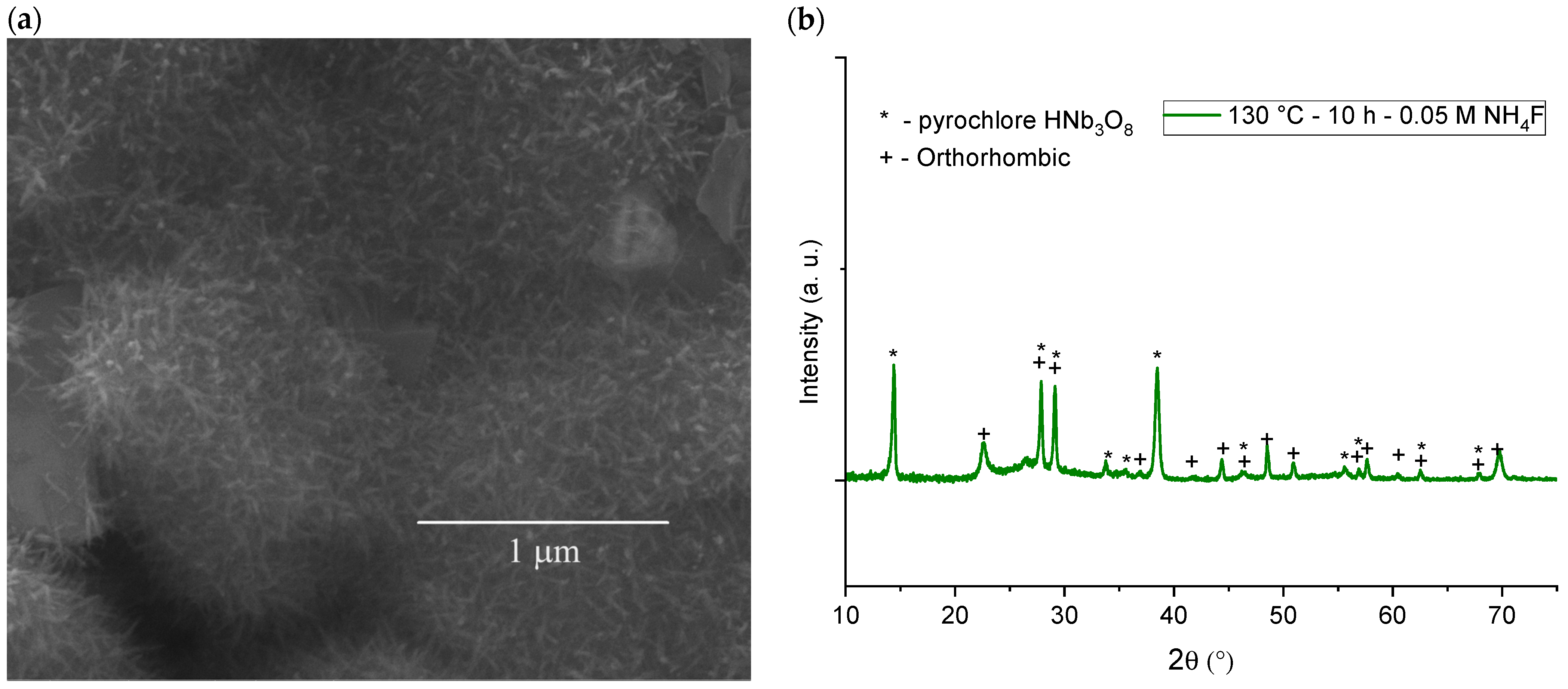 Coatings 13 01786 g006