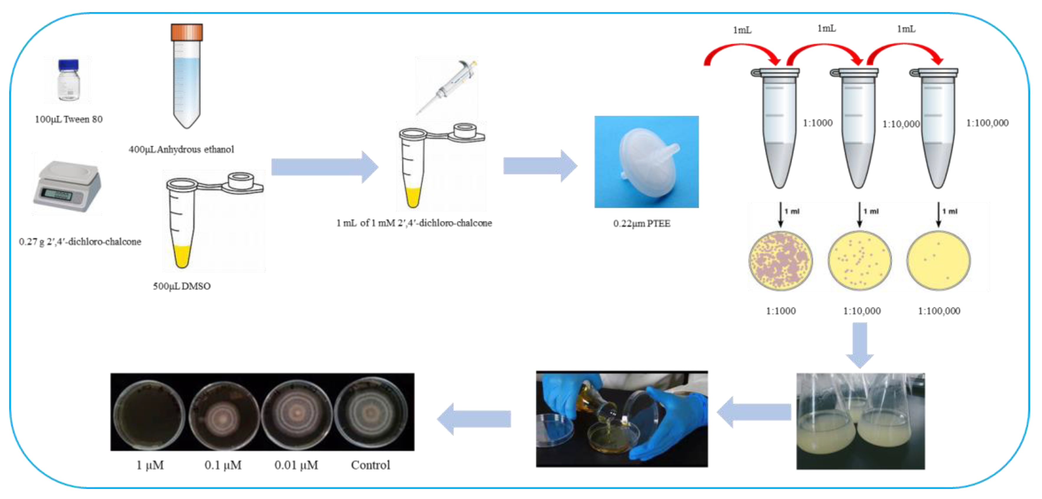 Coatings 13 01789 g002
