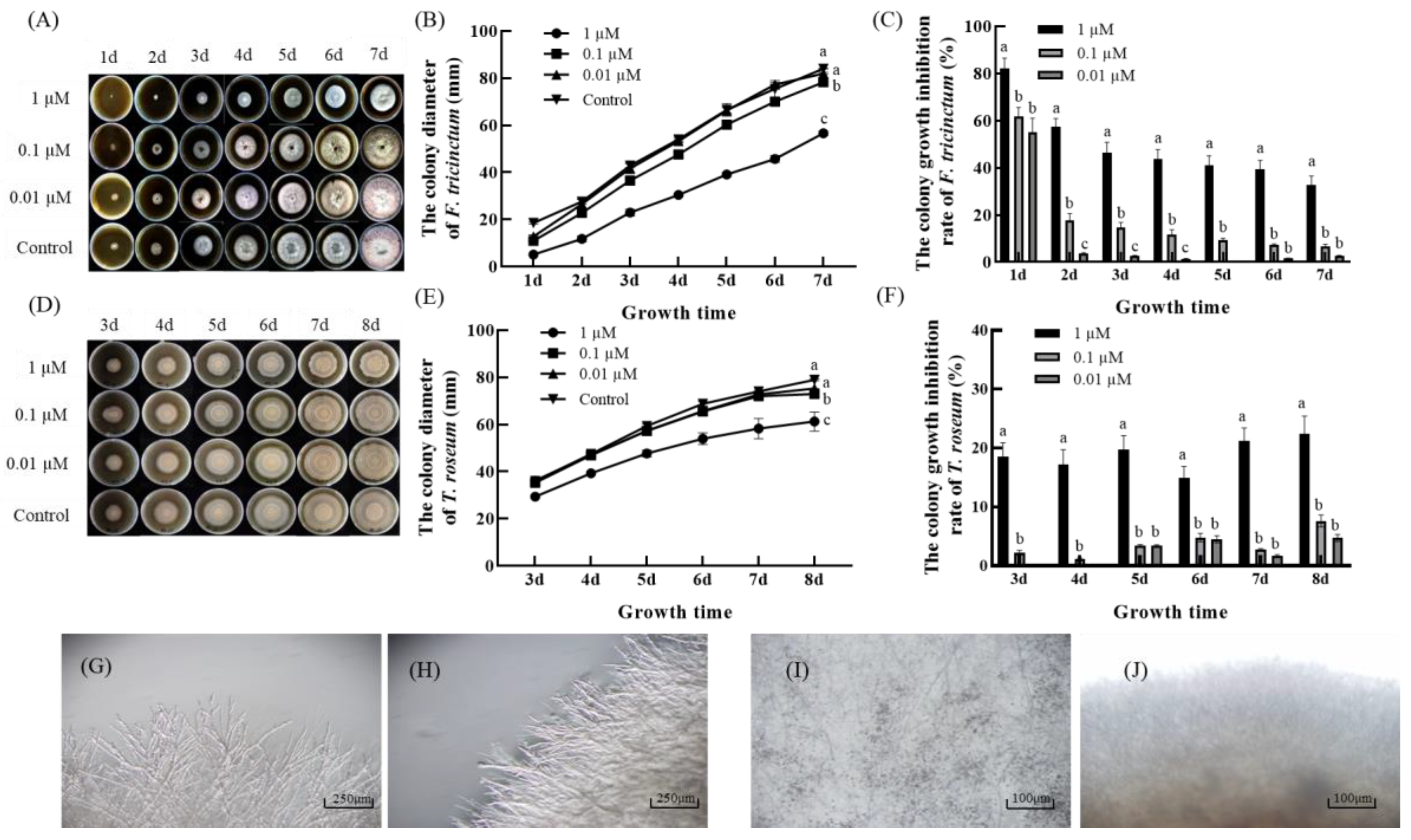 Coatings 13 01789 g003