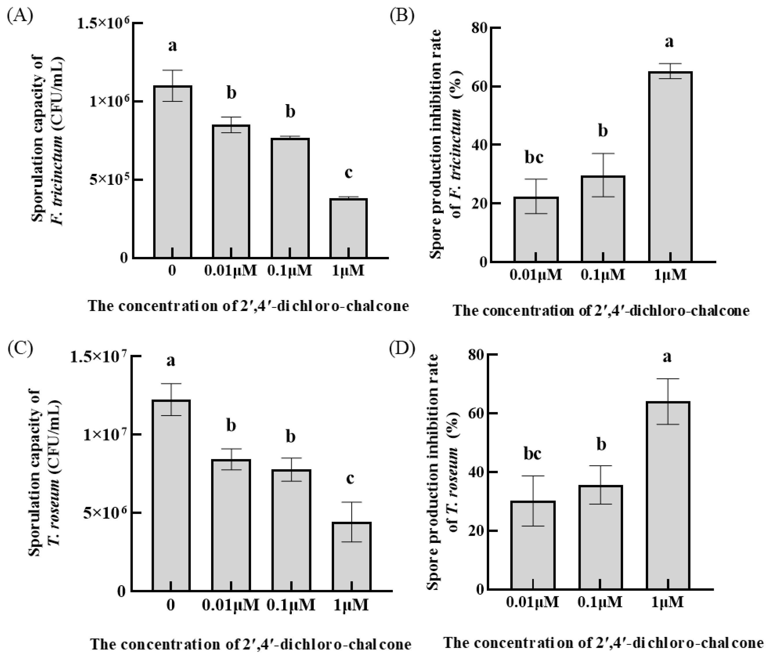 Coatings 13 01789 g004