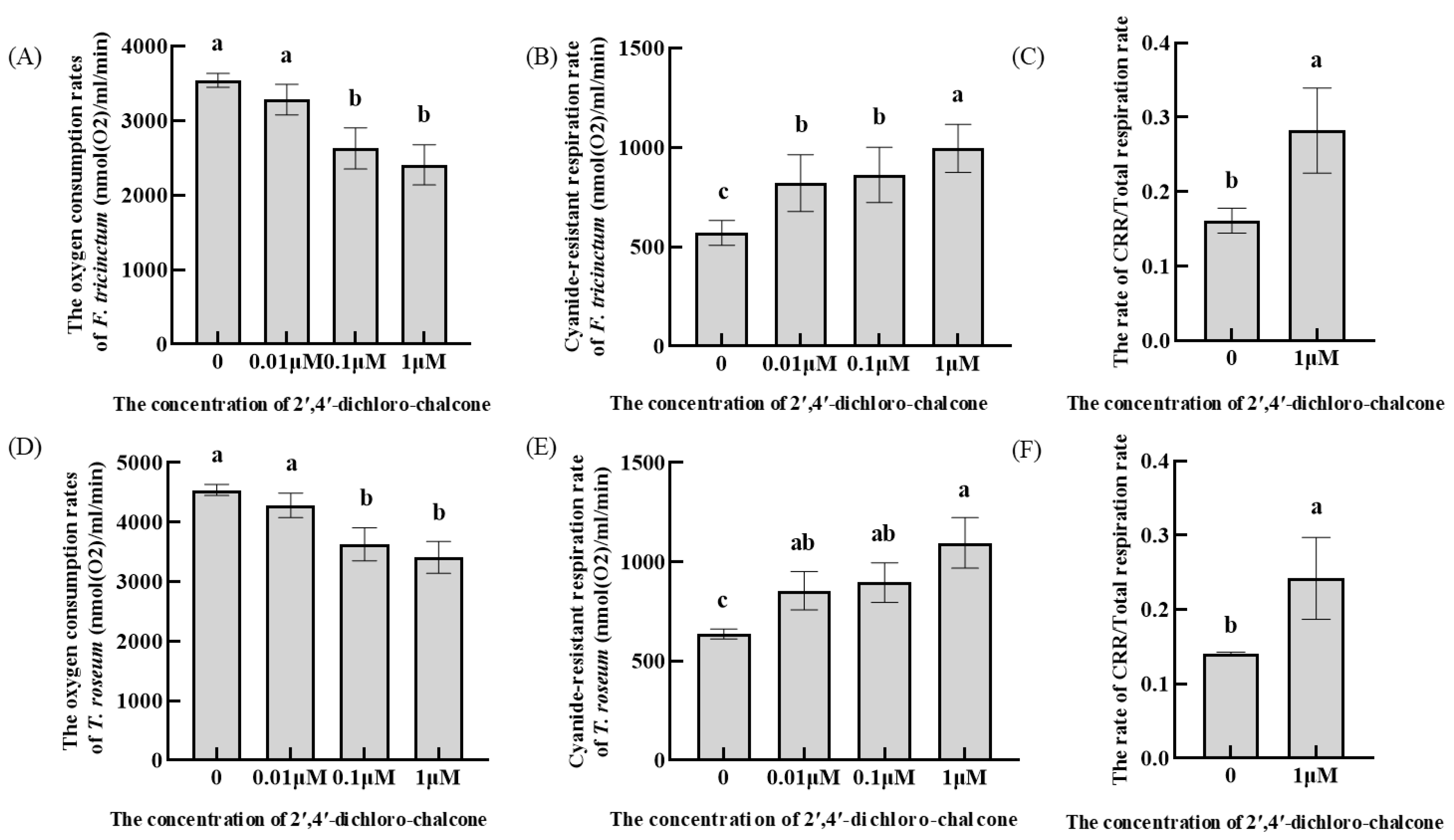 Coatings 13 01789 g006