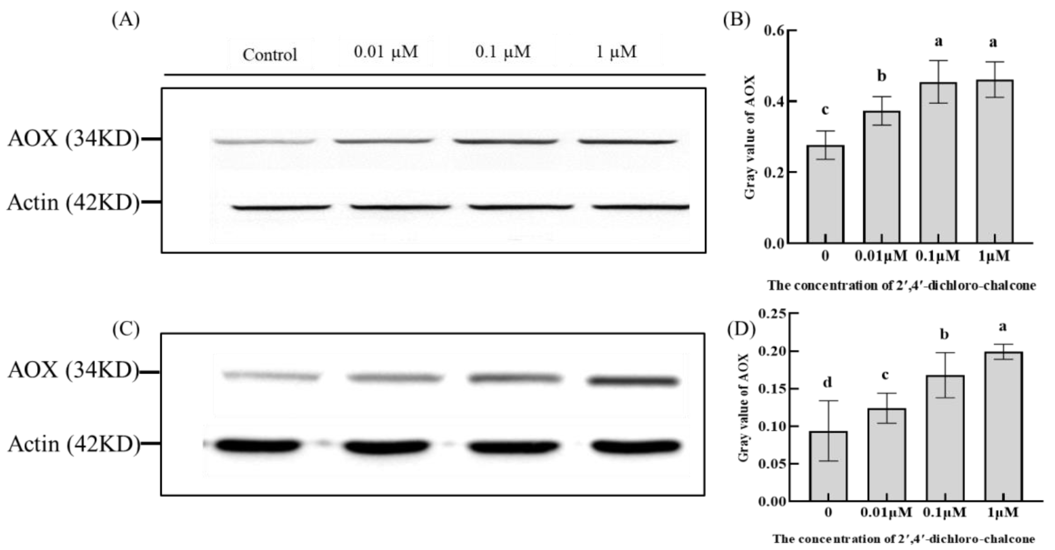 Coatings 13 01789 g007