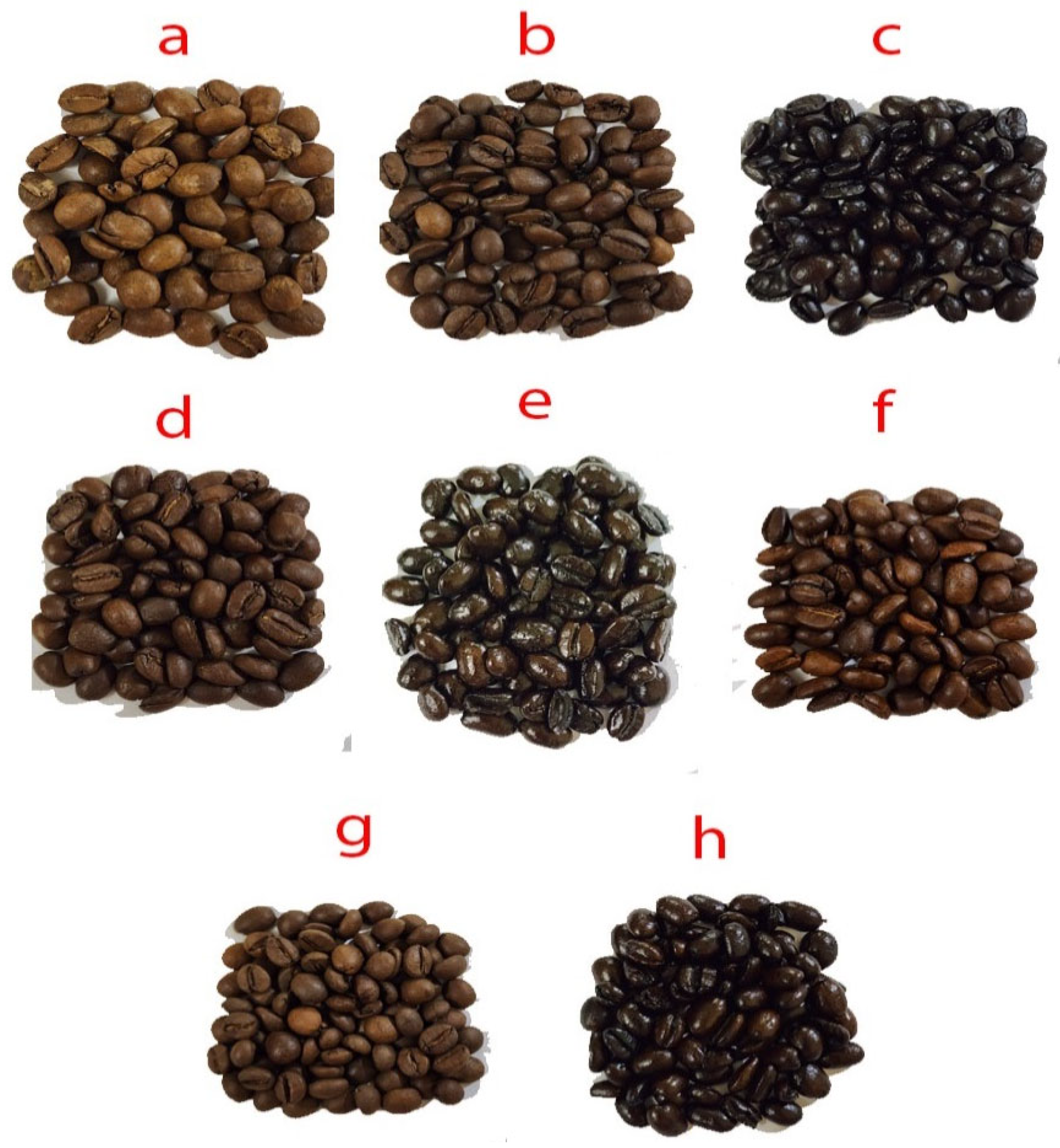 Coatings 13 01790 g001