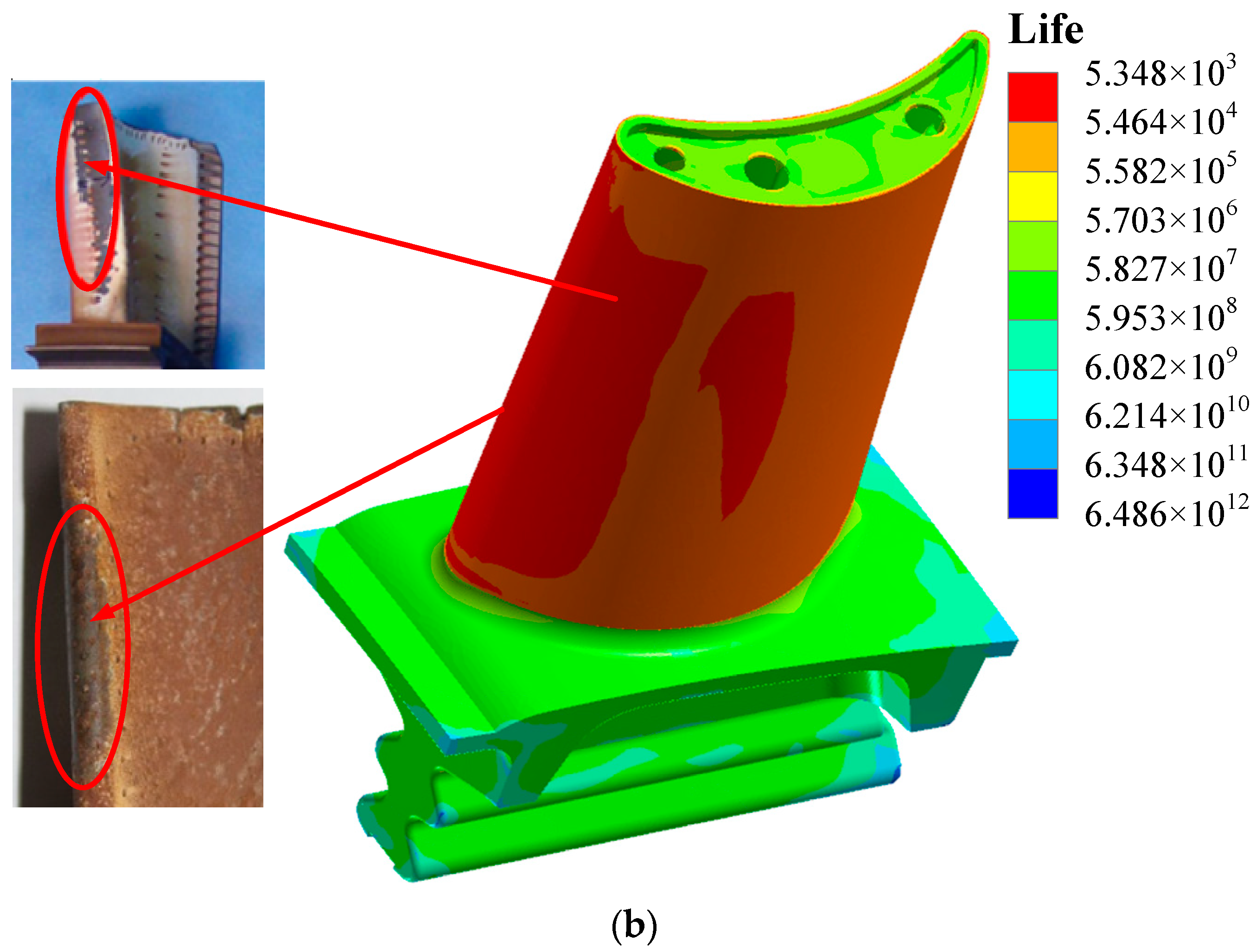 Coatings 13 01795 g011b