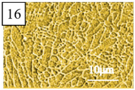 Coatings 13 01806 i041