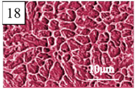 Coatings 13 01806 i043