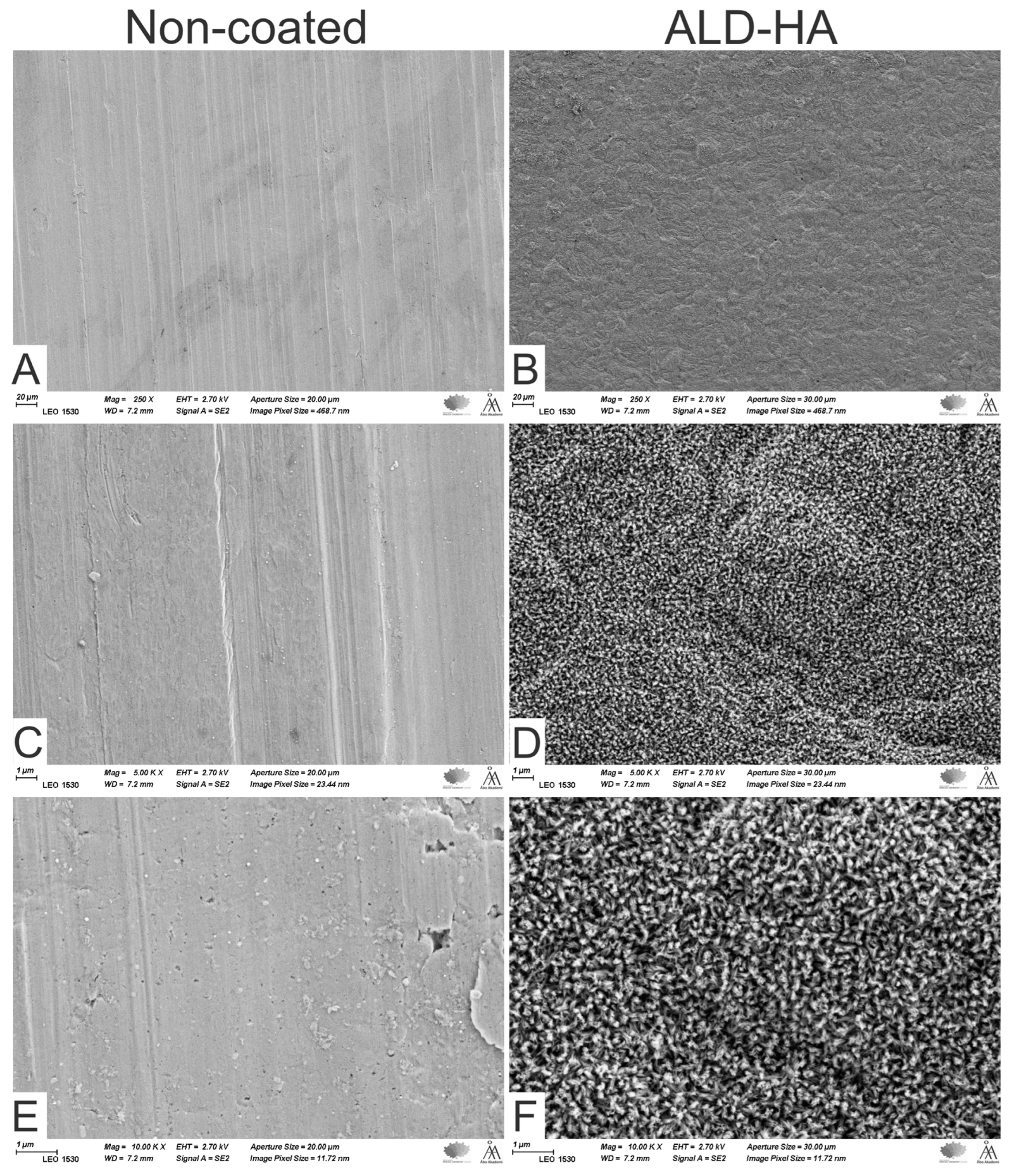 Coatings 13 01810 g003