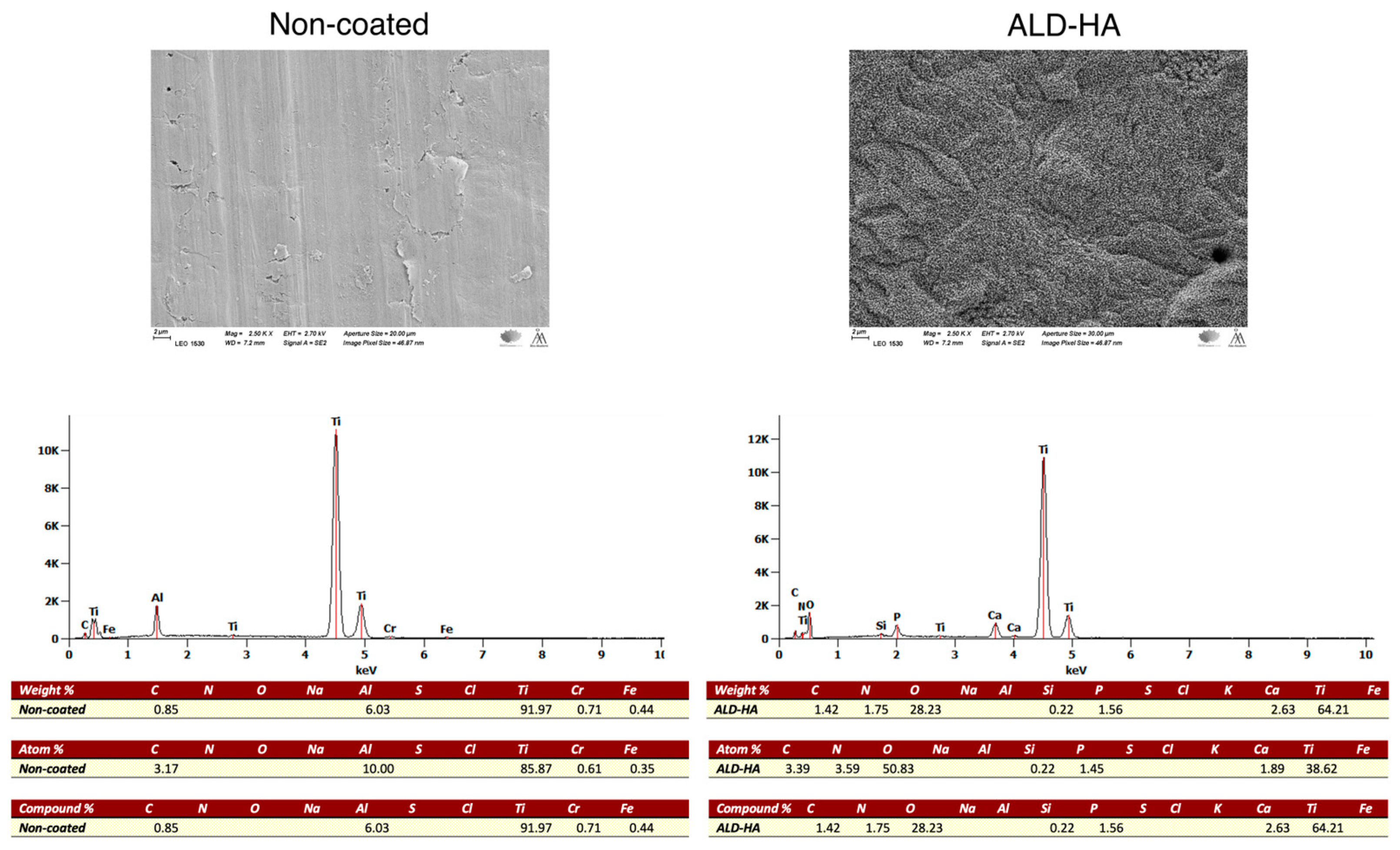Coatings 13 01810 g004