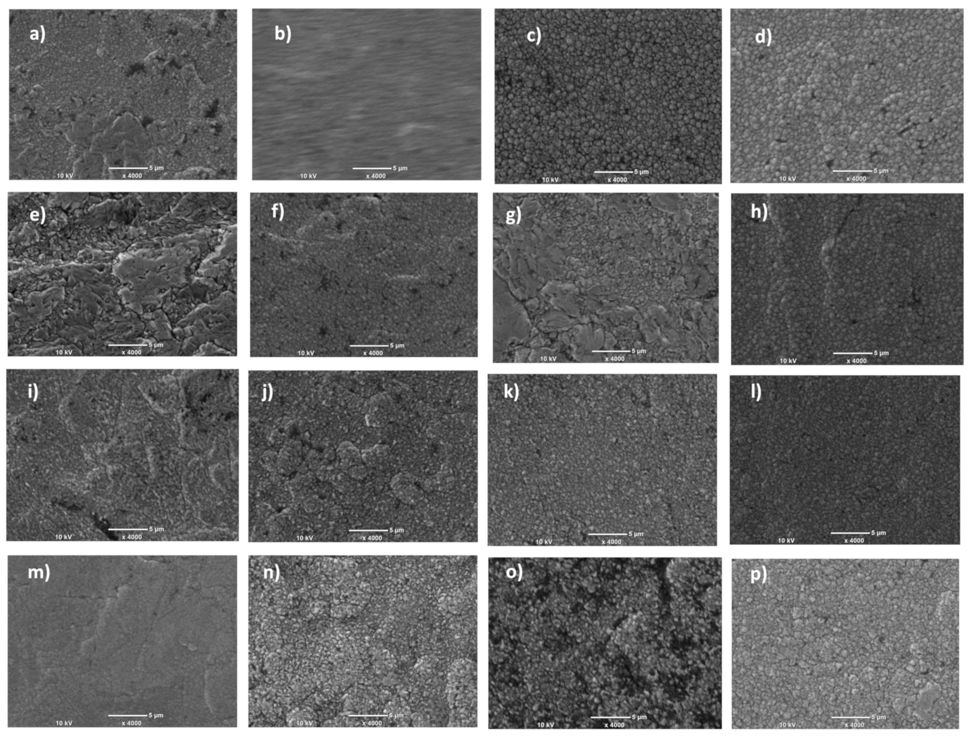Coatings 13 01816 g001