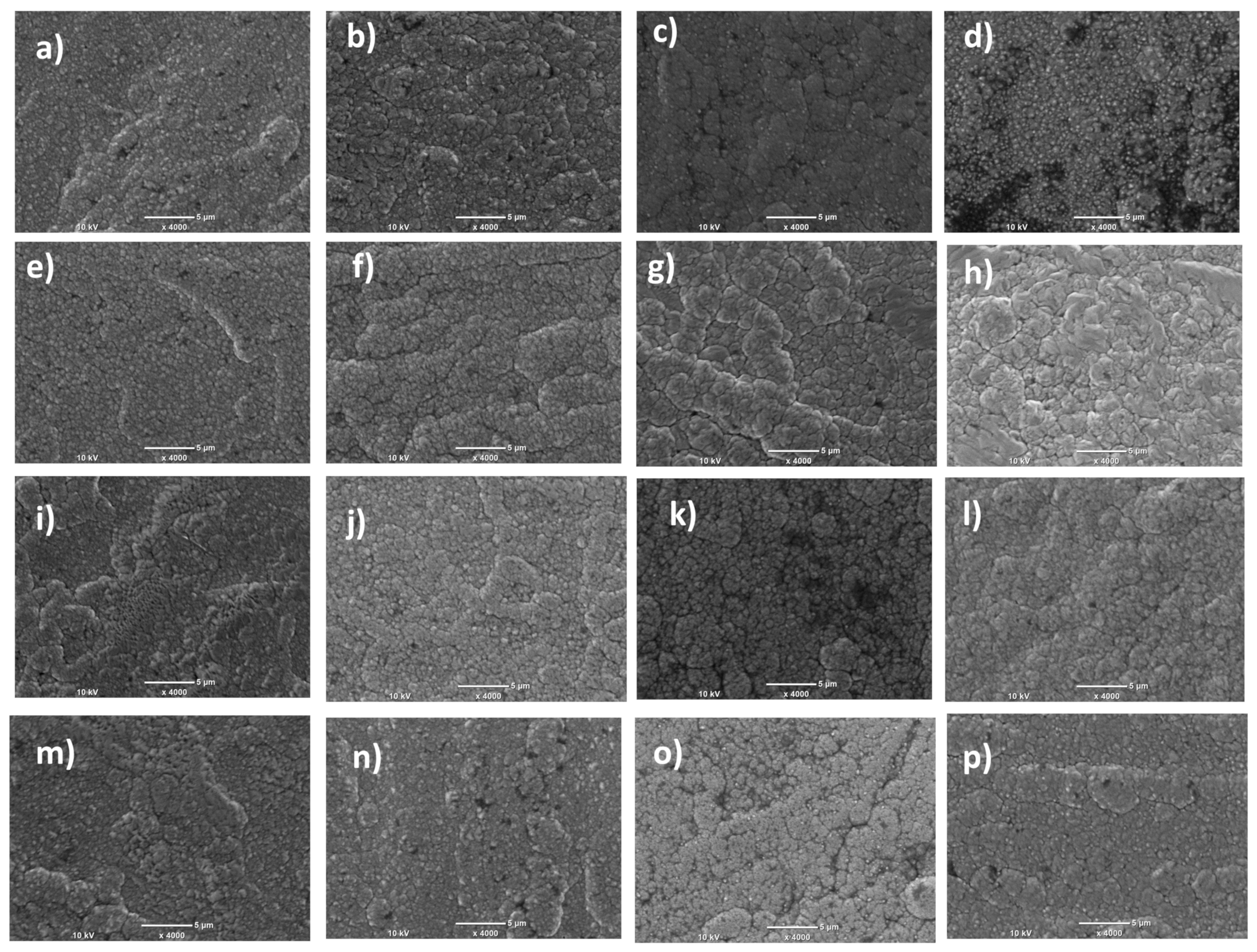 Coatings 13 01816 g002