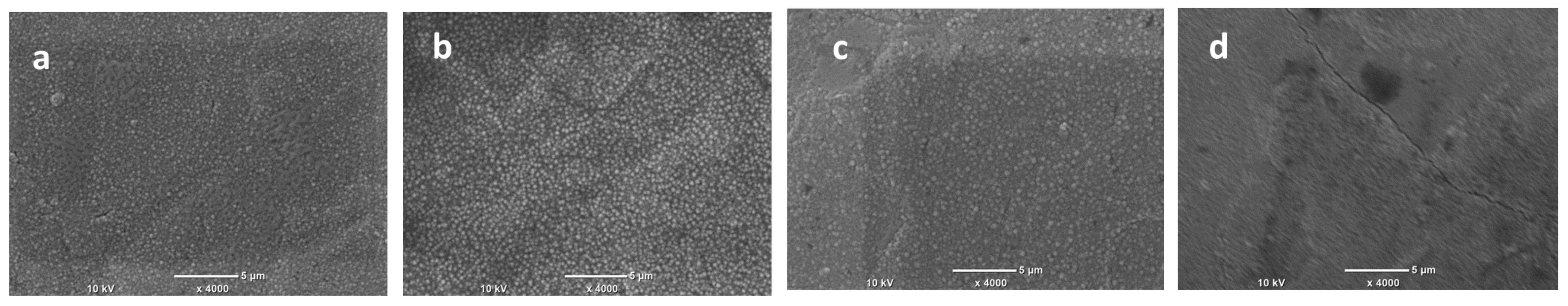 Coatings 13 01816 g004