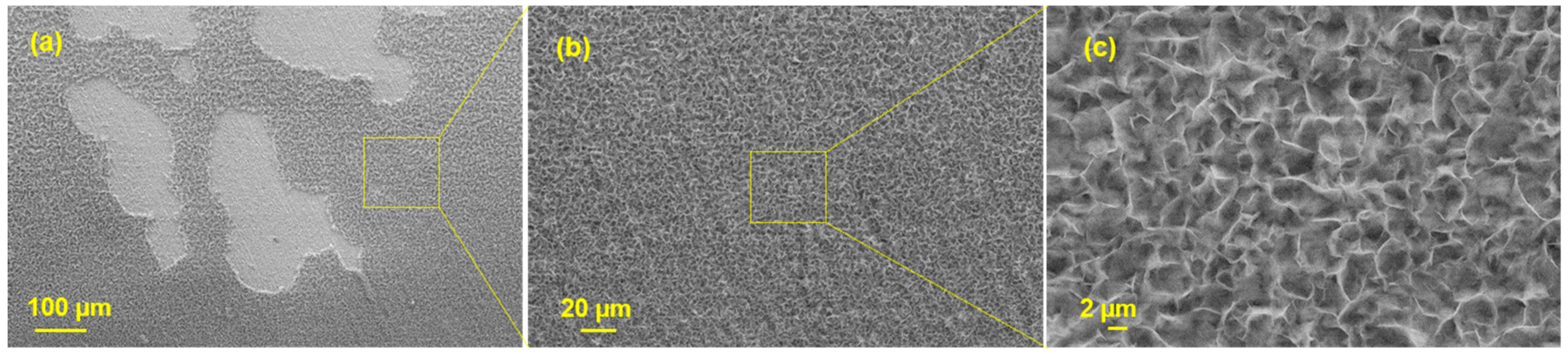 Coatings 13 01817 g004