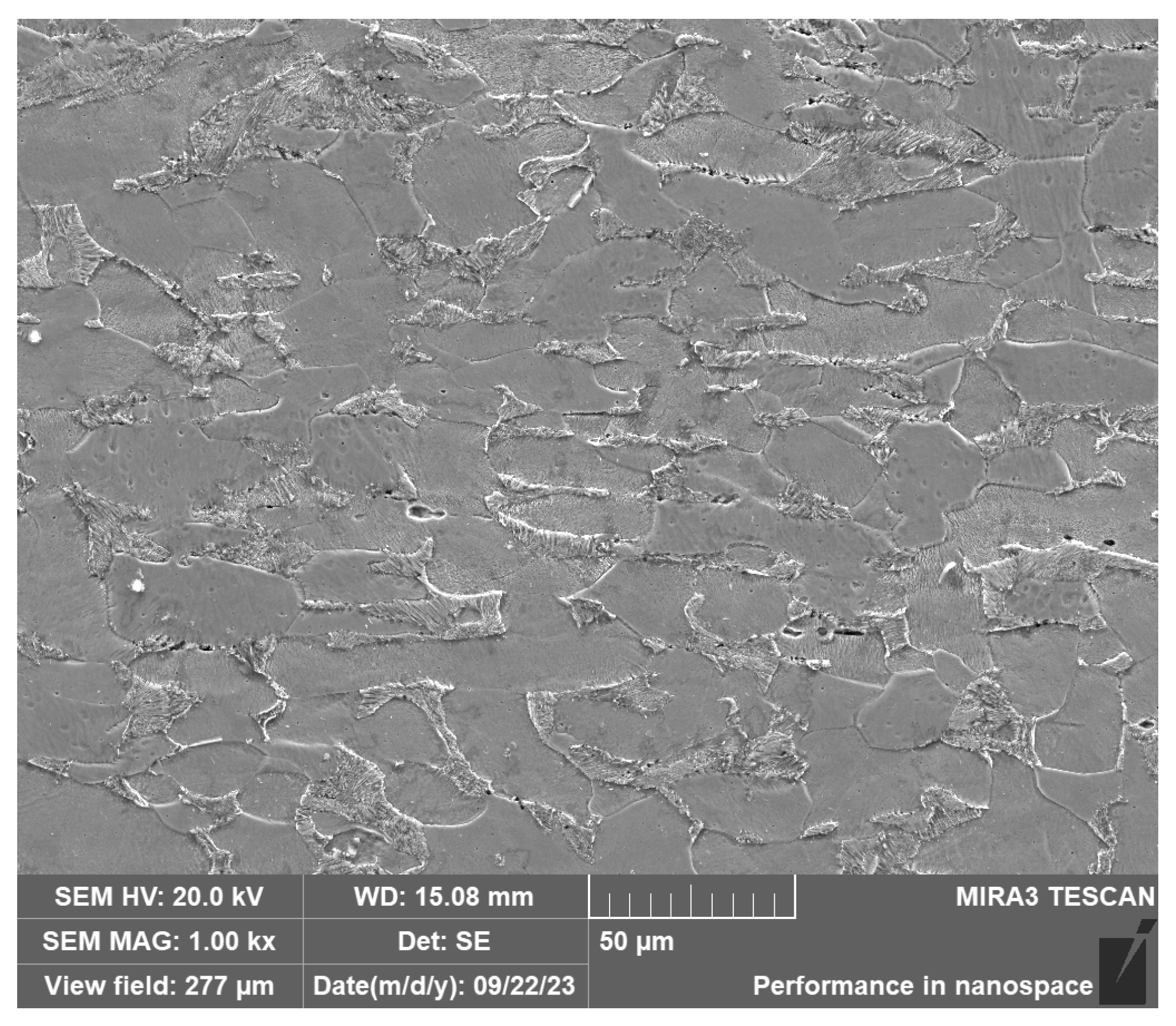 Coatings 13 01819 g001