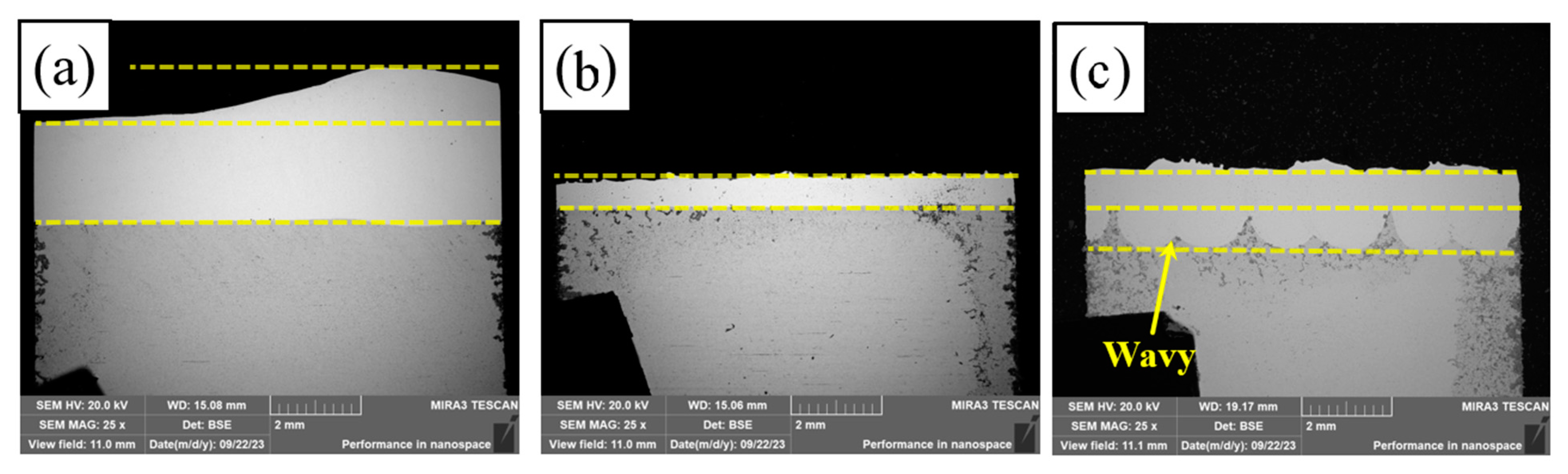 Coatings 13 01819 g005