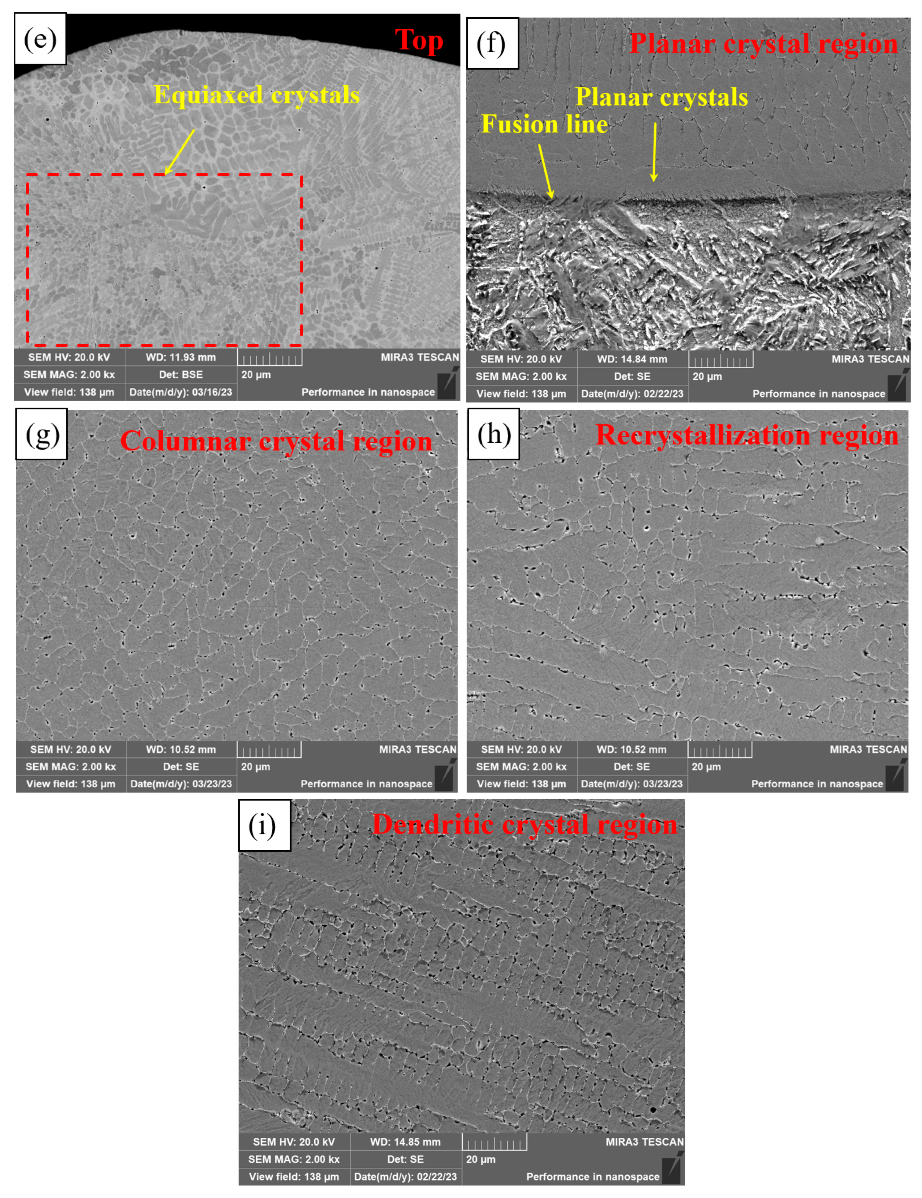 Coatings 13 01819 g006b