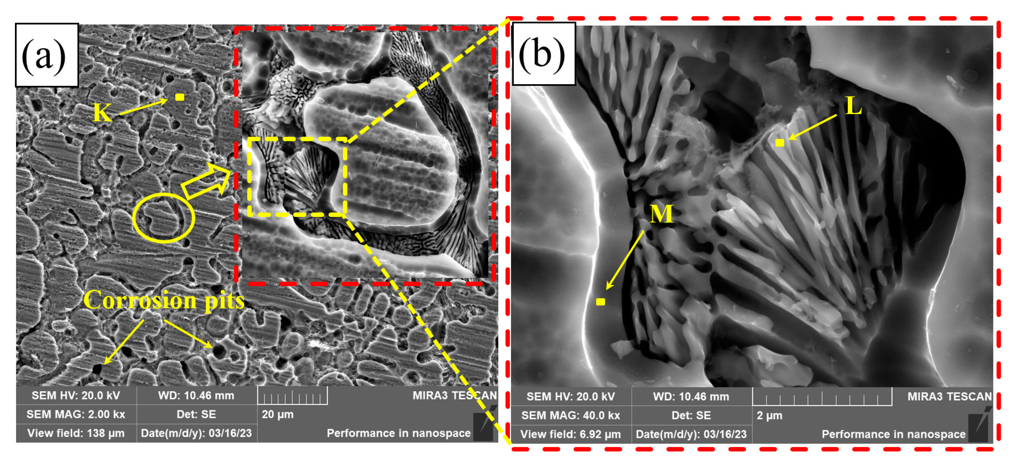 Coatings 13 01819 g013a