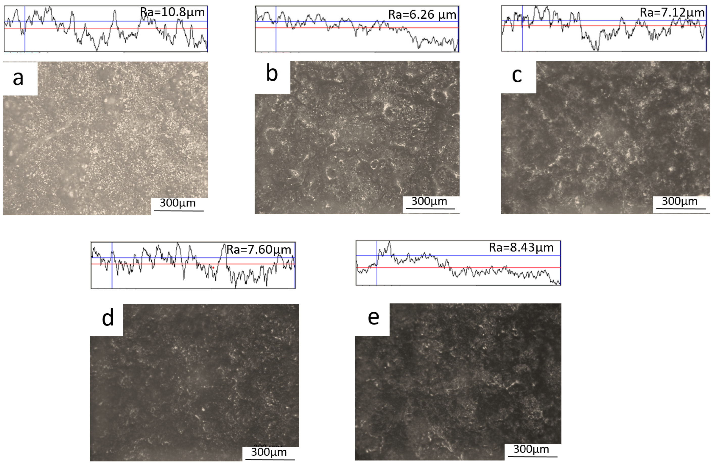 Coatings 13 01824 g006