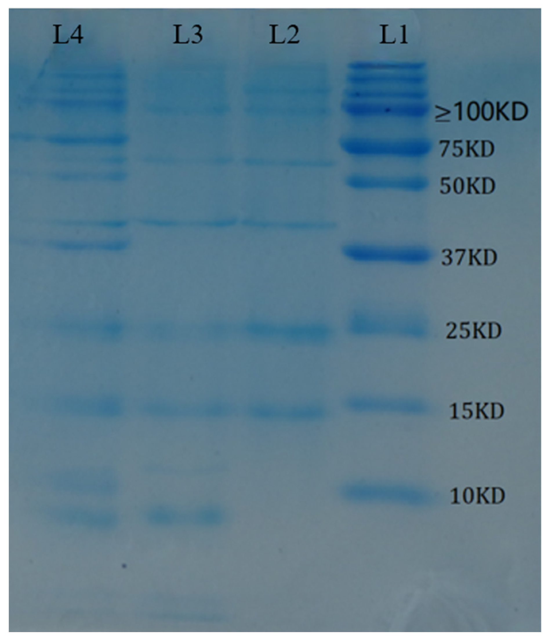 Coatings 13 01825 g003