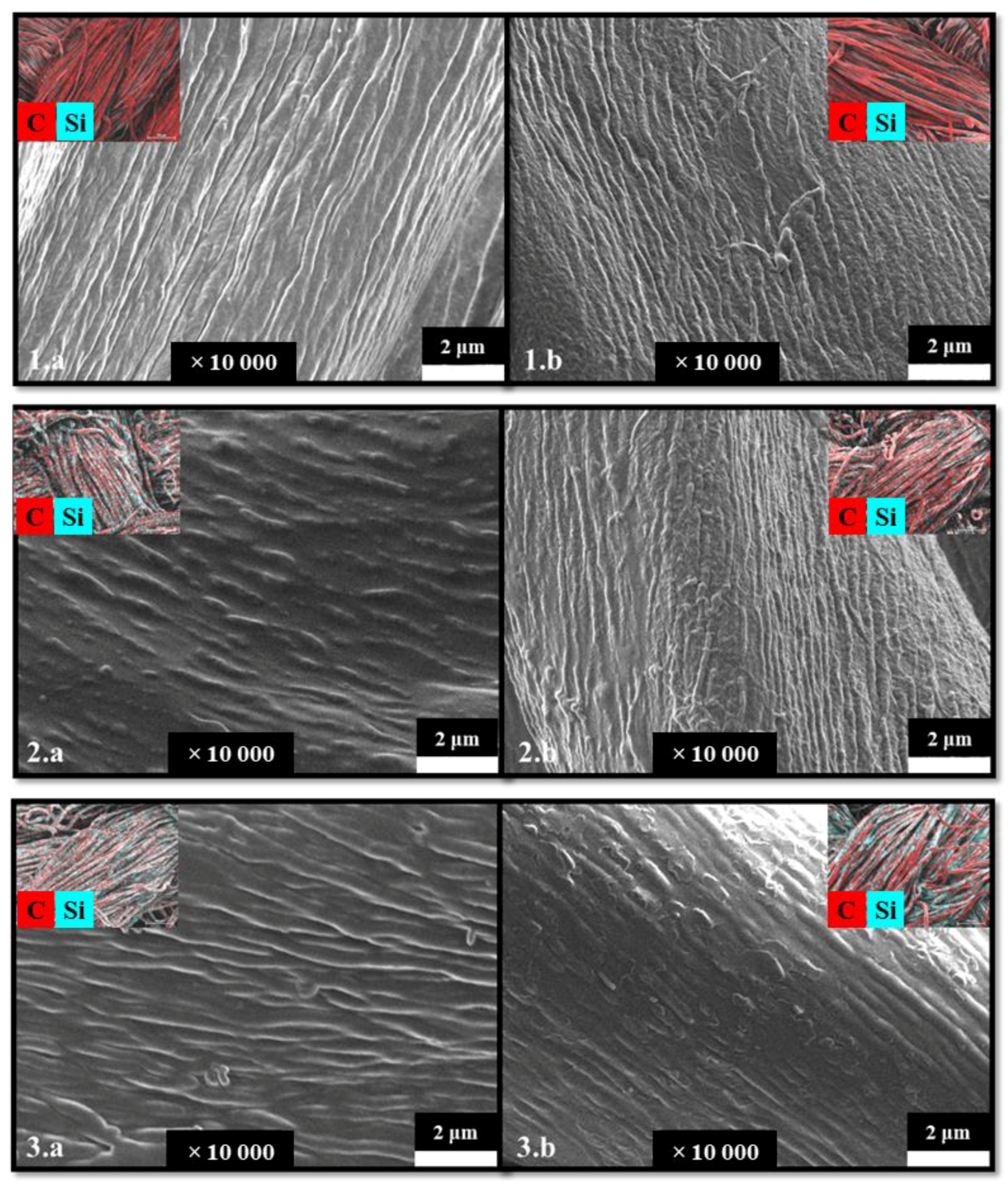 Coatings 13 01827 g003