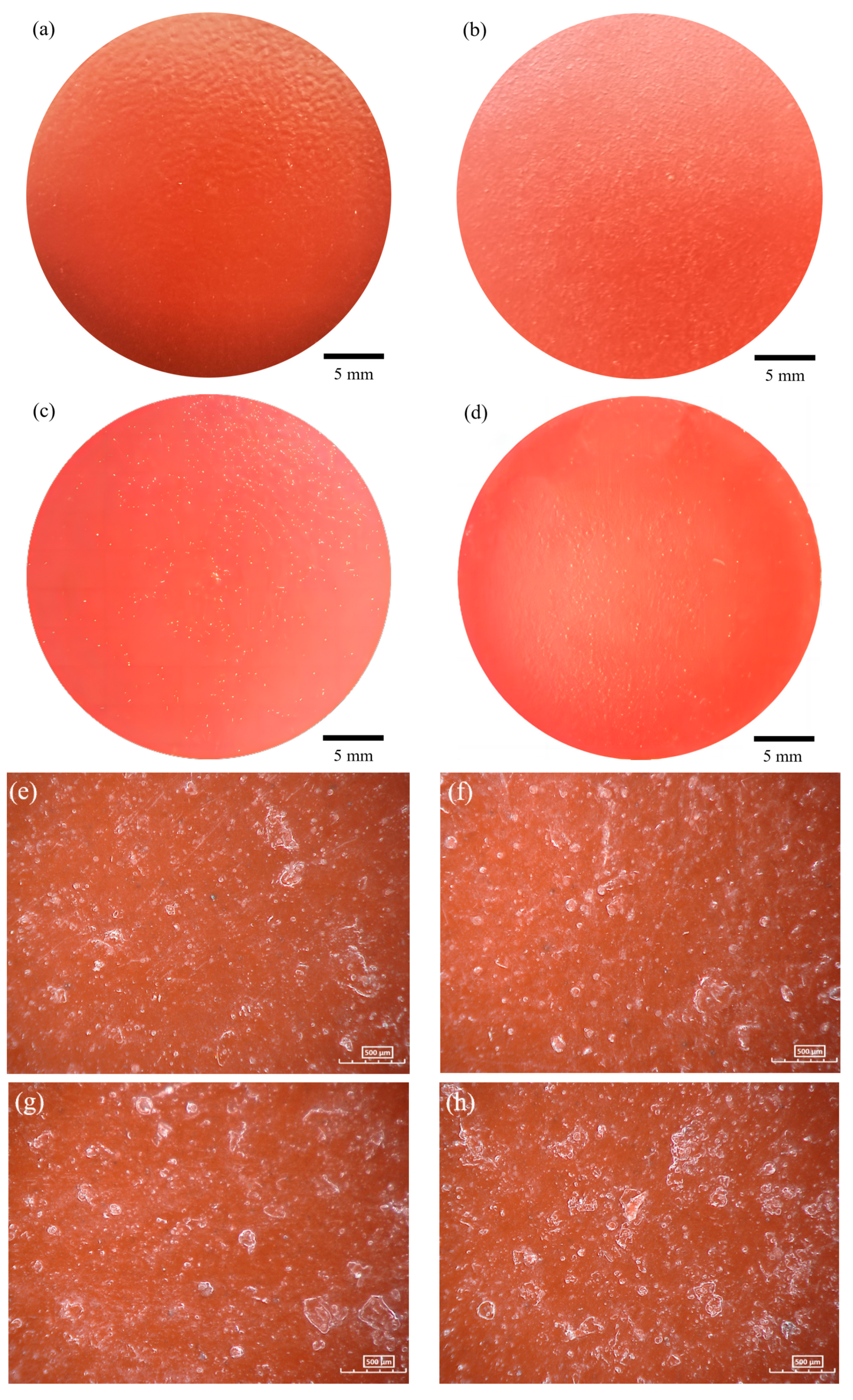 Coatings 13 01843 g010a Coatings 13 01843 g010a