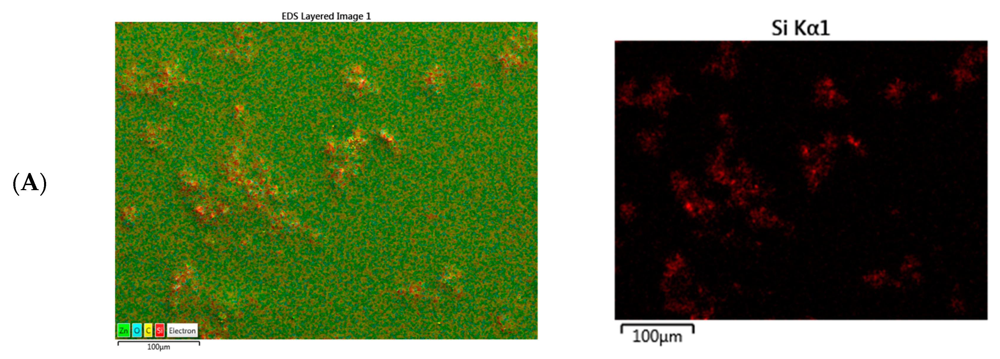 Coatings 13 01844 g007a