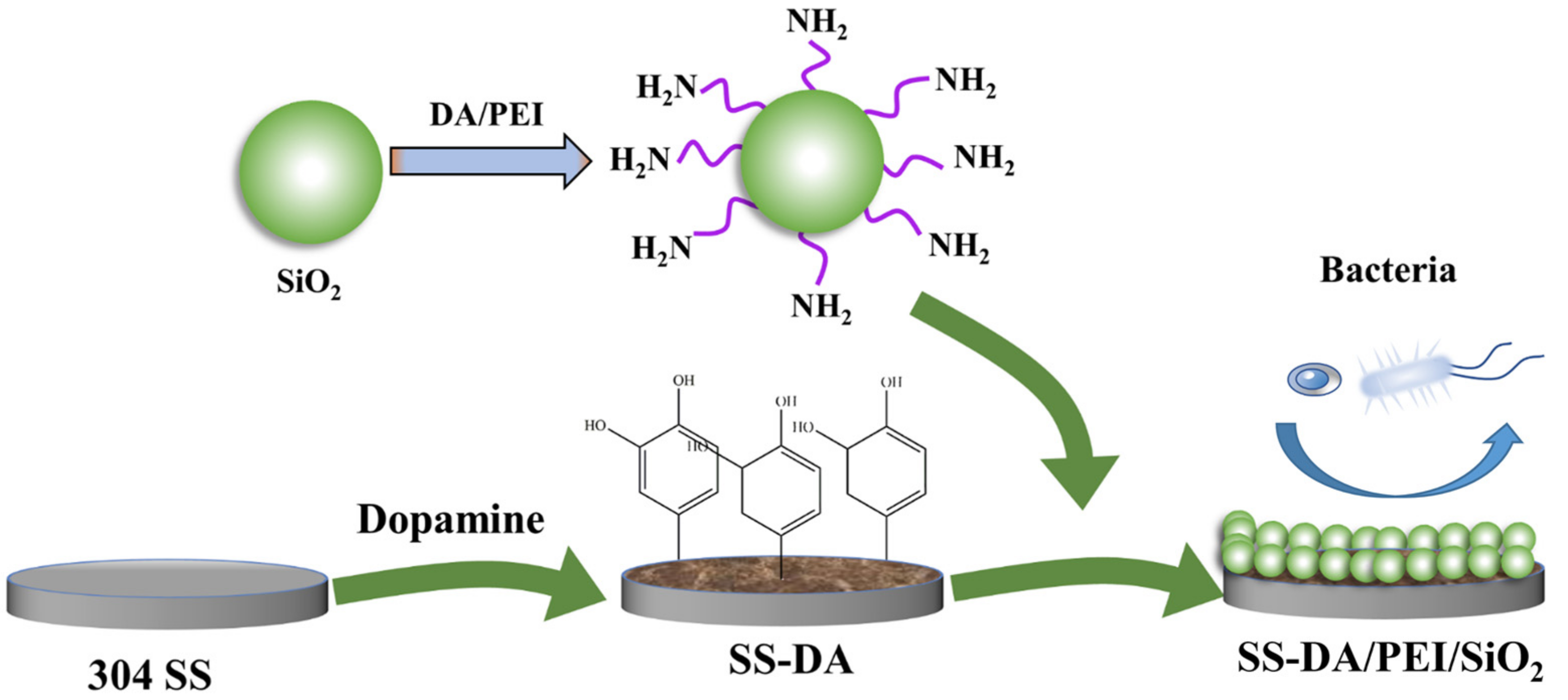 Coatings 13 01845 g001