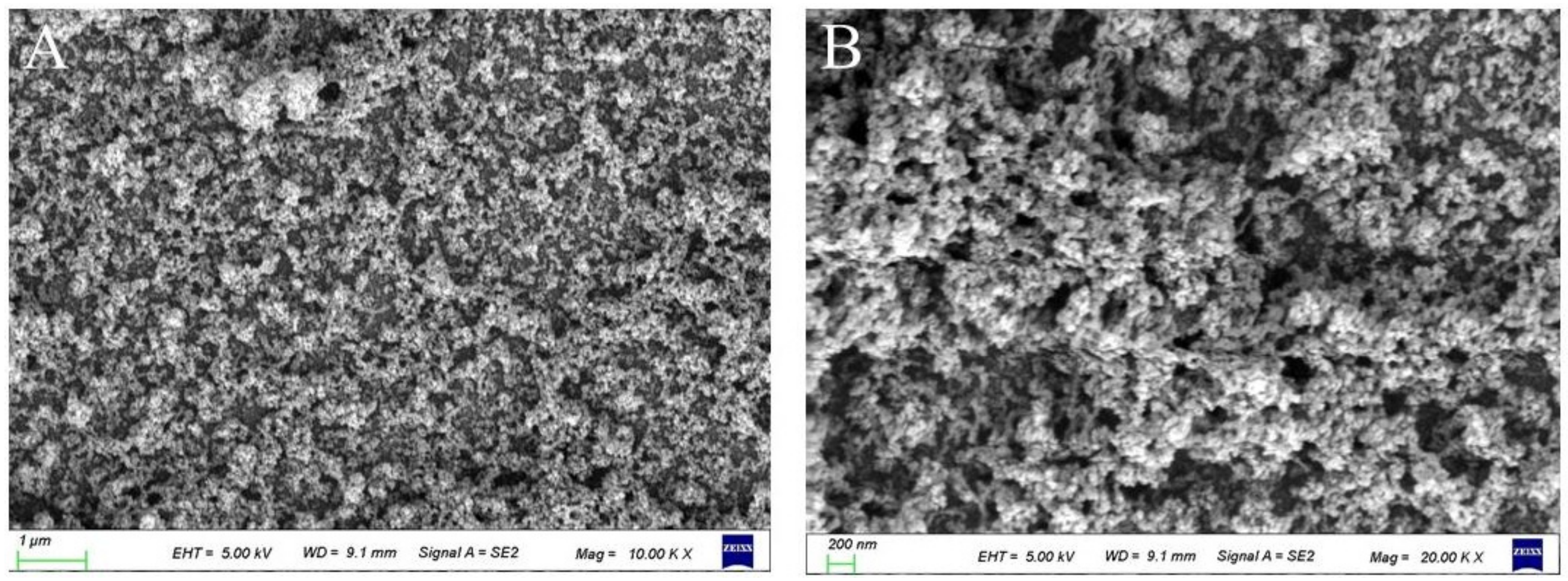 Coatings 13 01845 g004