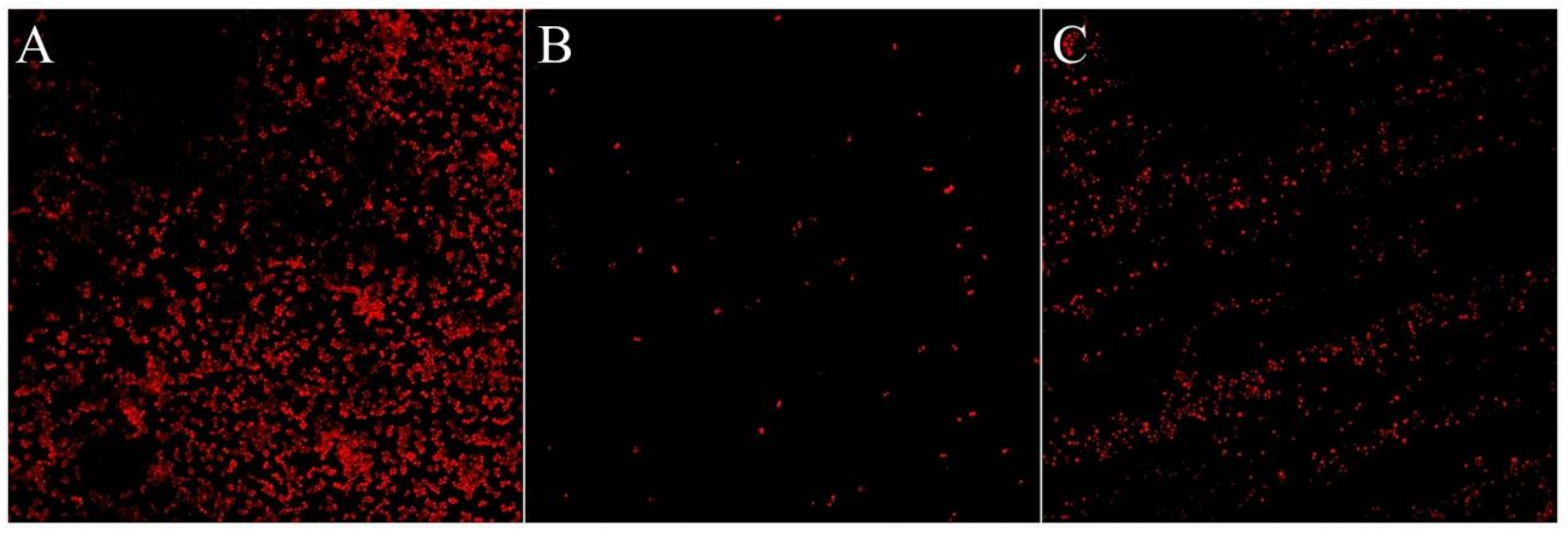Coatings 13 01845 g009