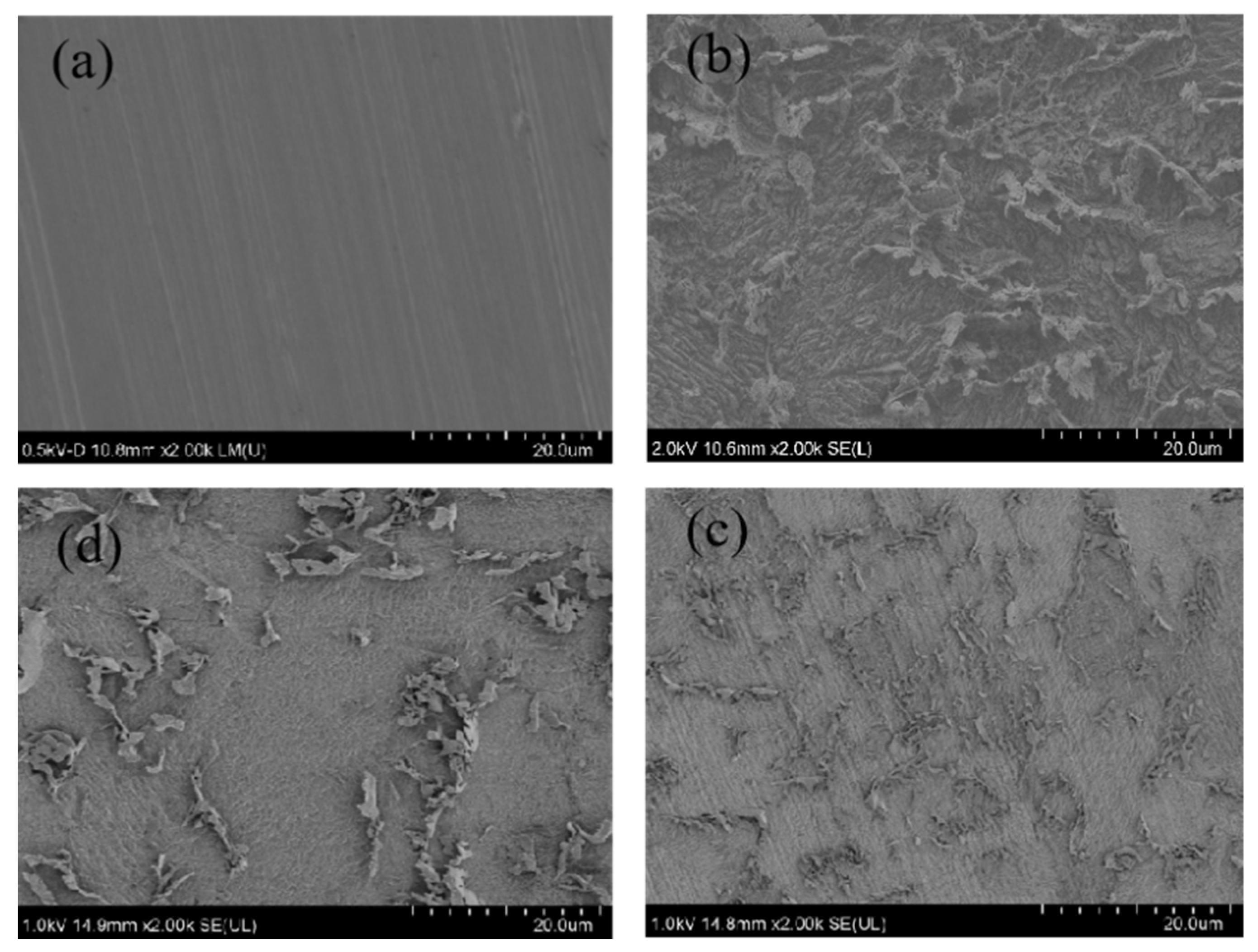 Coatings 13 01847 g008
