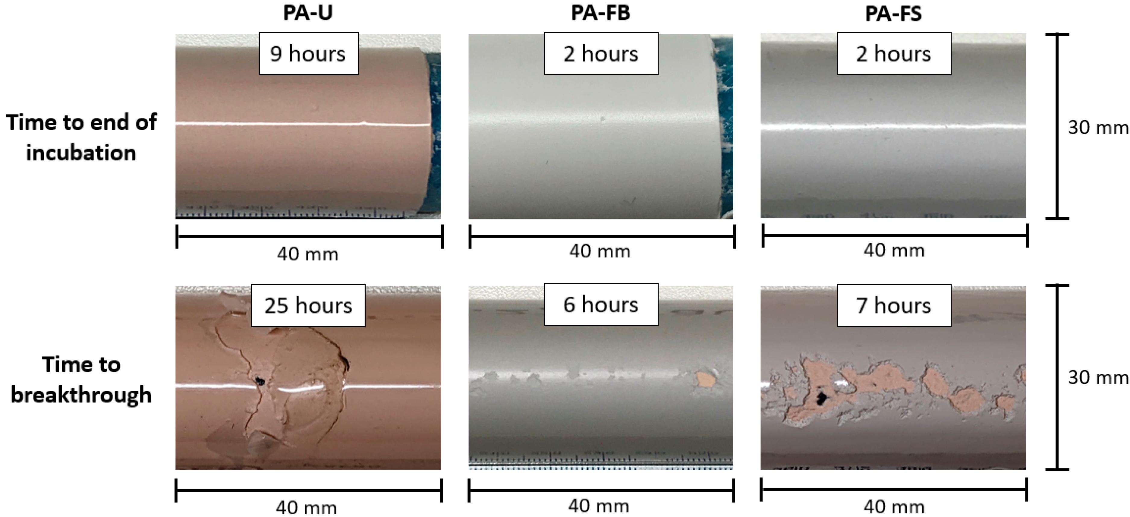Coatings 13 01849 g005