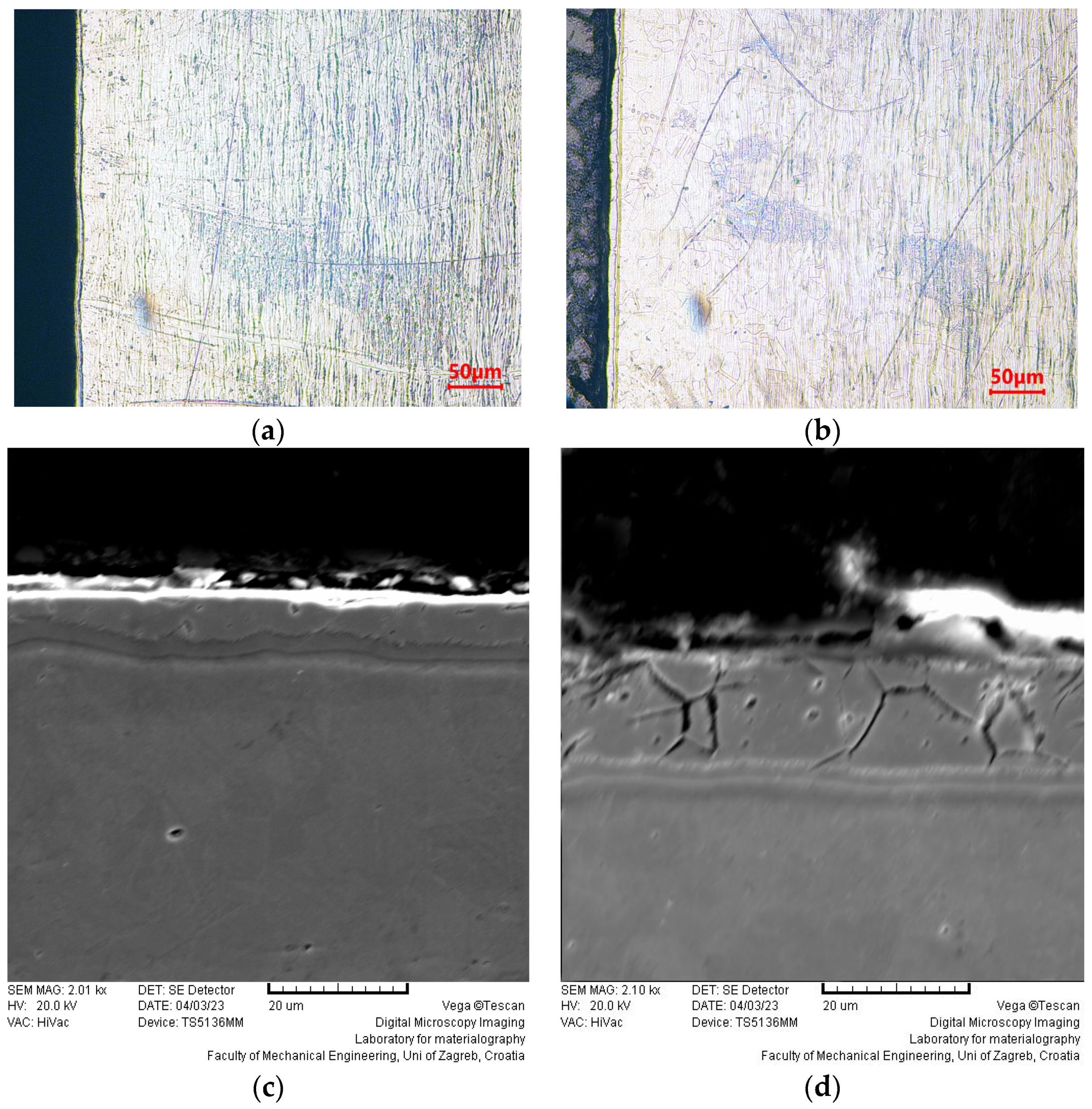 Coatings 13 01854 g006
