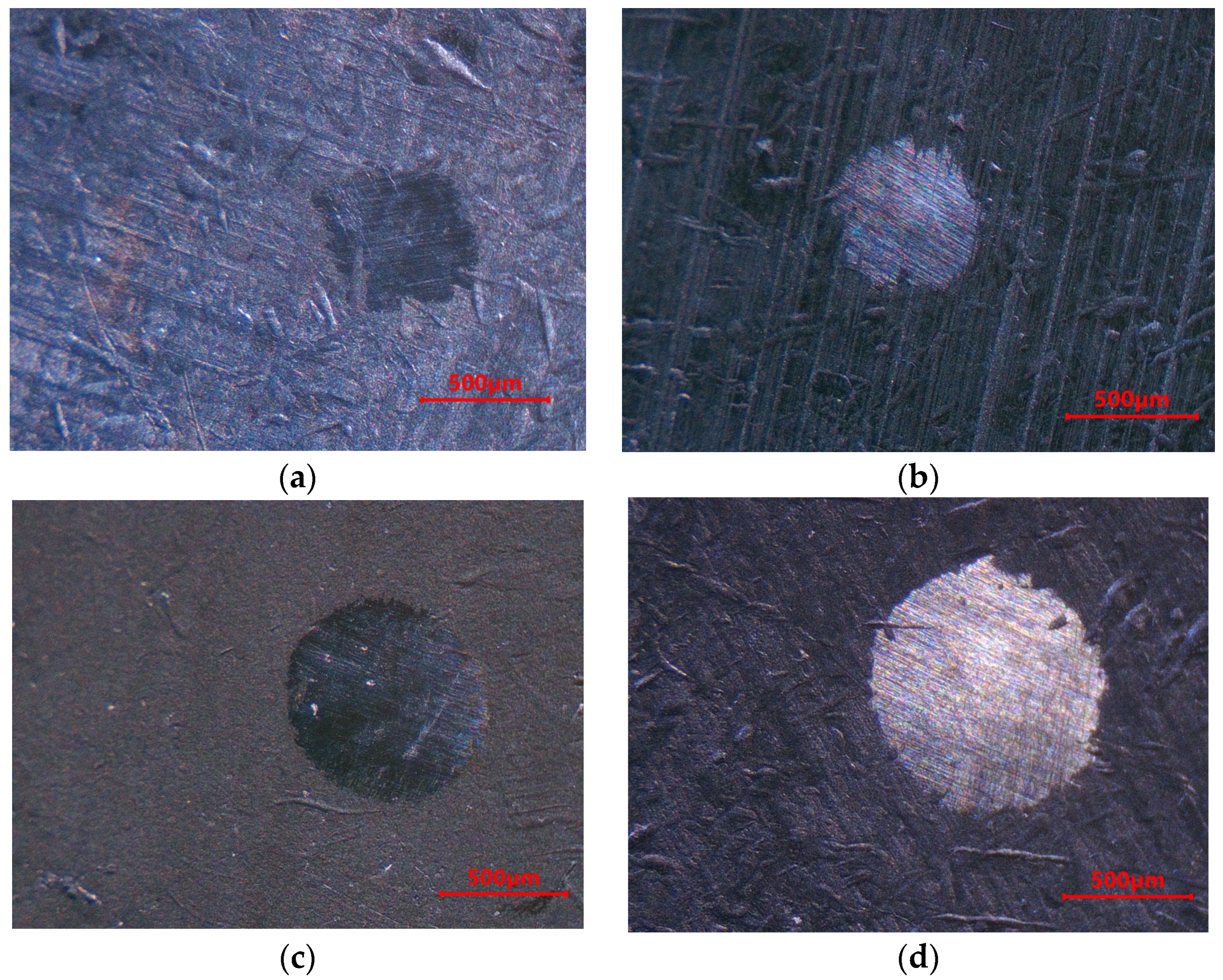 Coatings 13 01854 g010