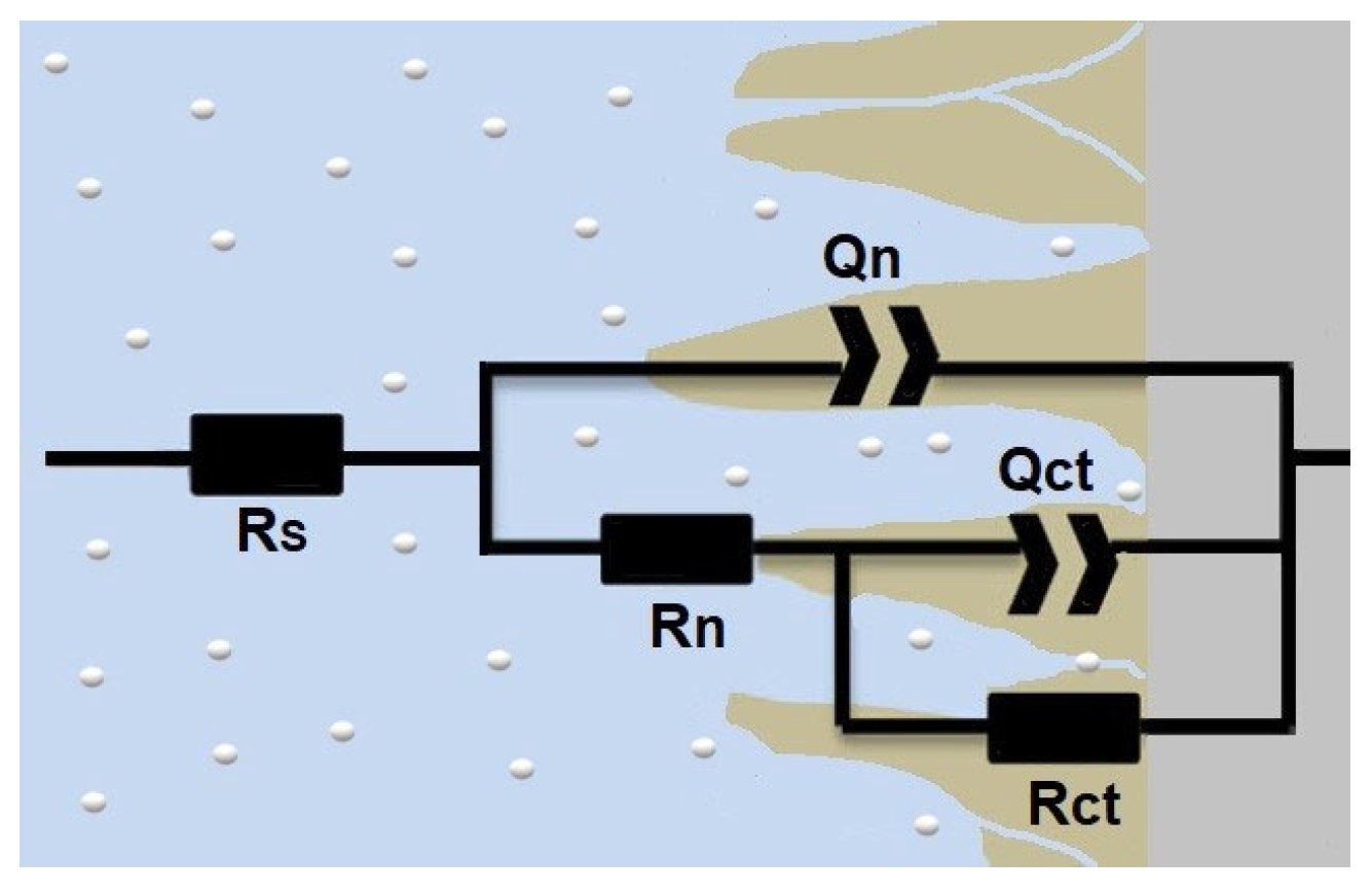 Coatings 13 01854 g013