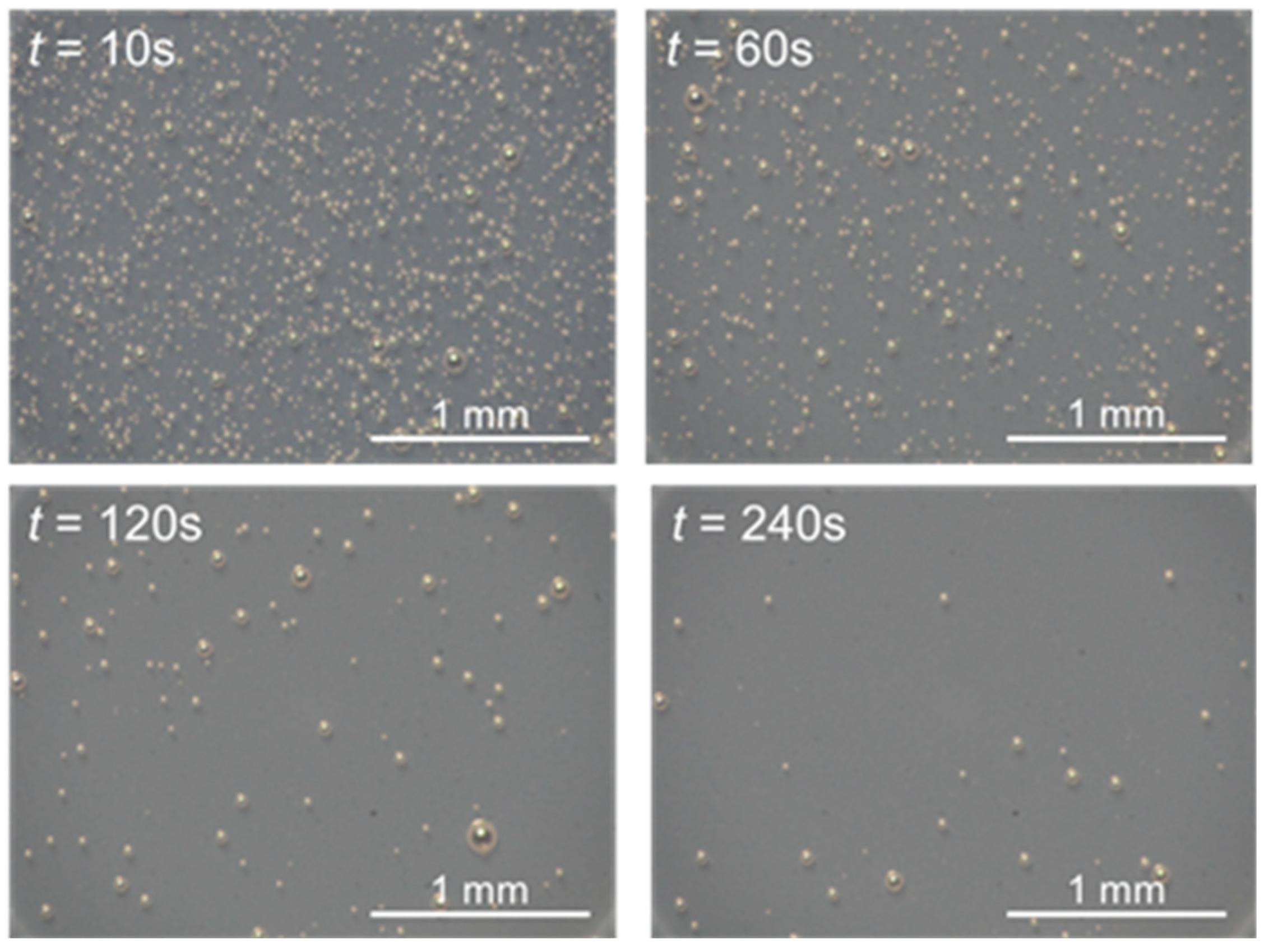 Coatings 13 01860 g002
