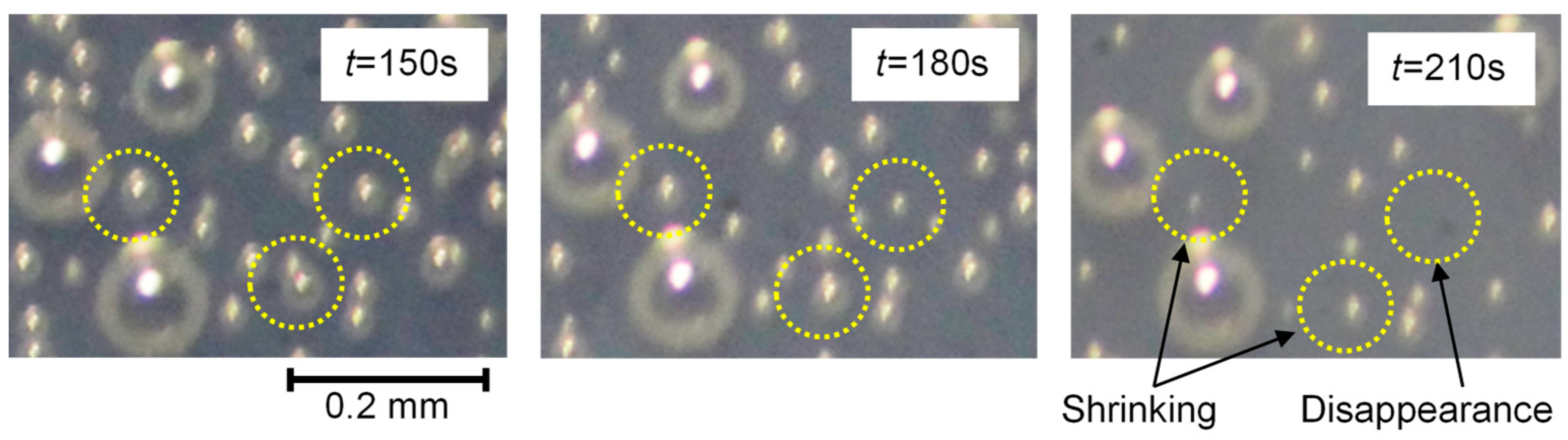 Coatings 13 01860 g004