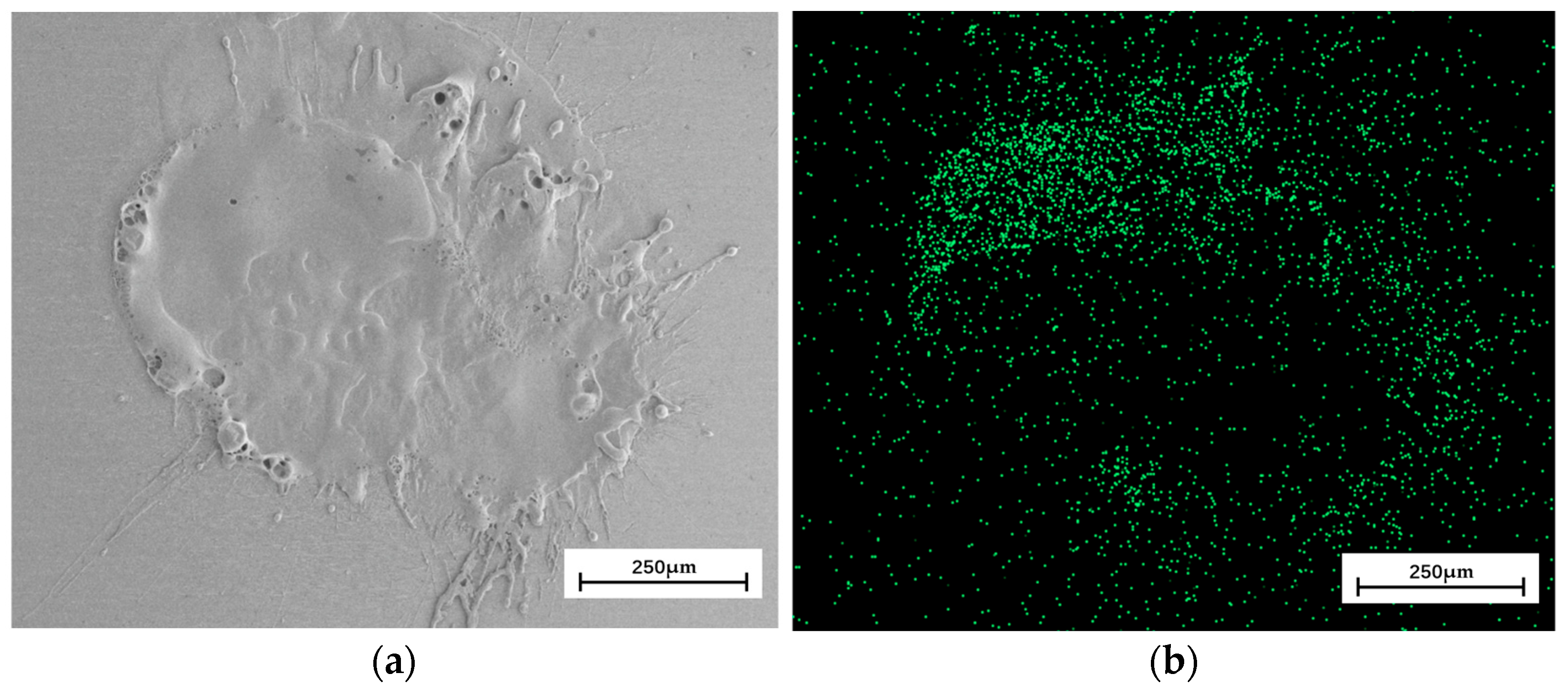 Coatings 13 01865 g011