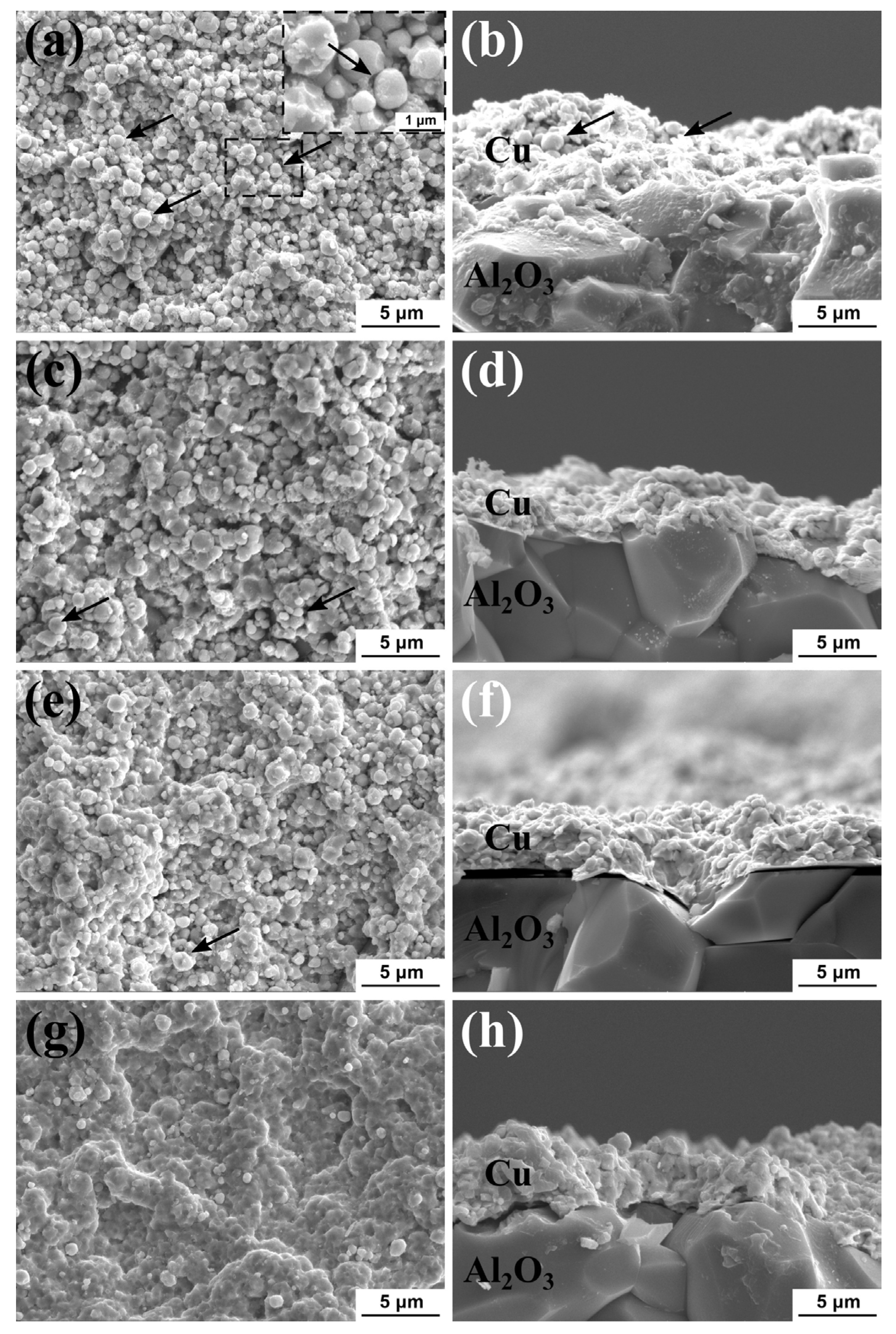 Coatings 13 01870 g006