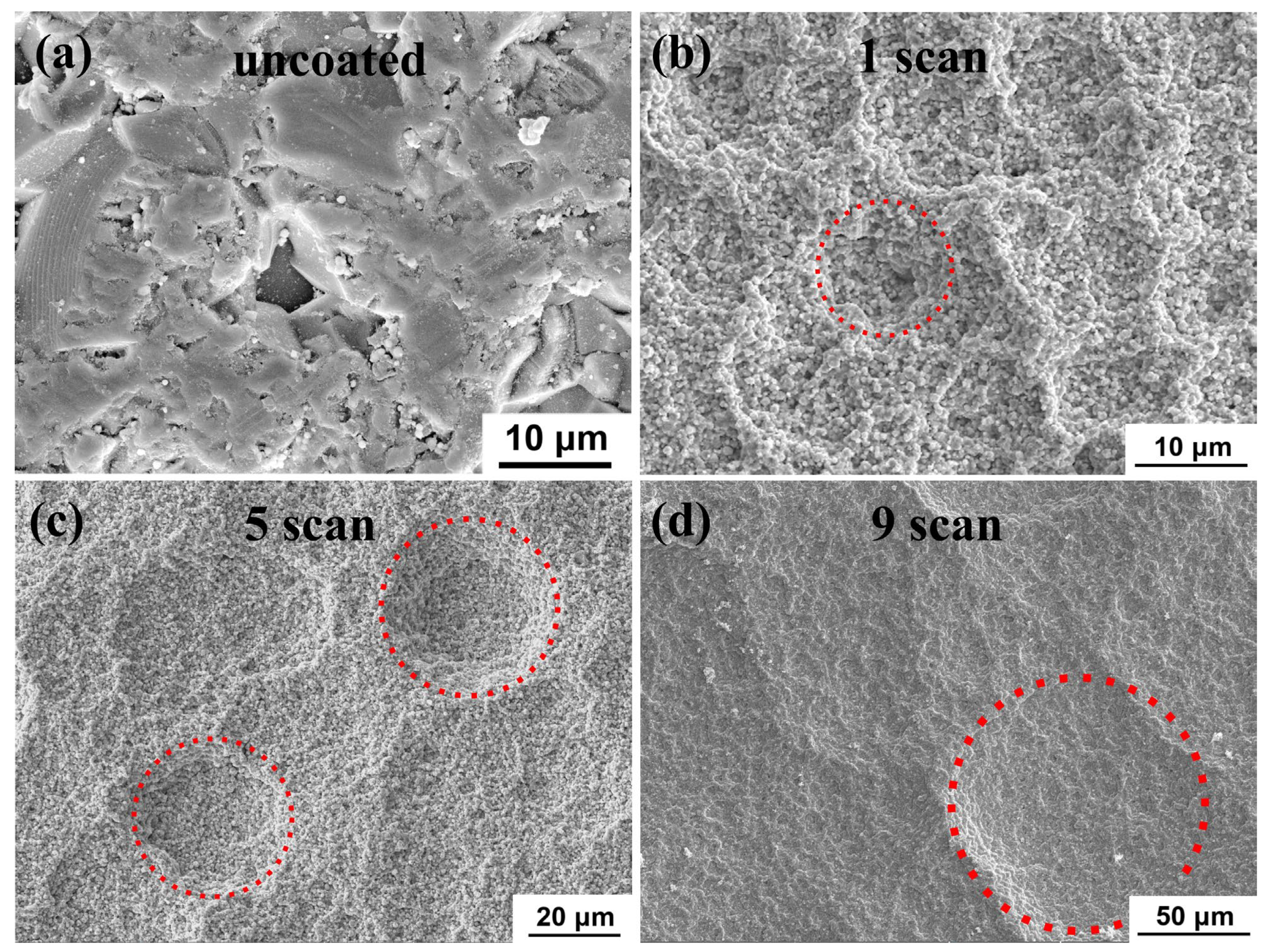 Coatings 13 01870 g009