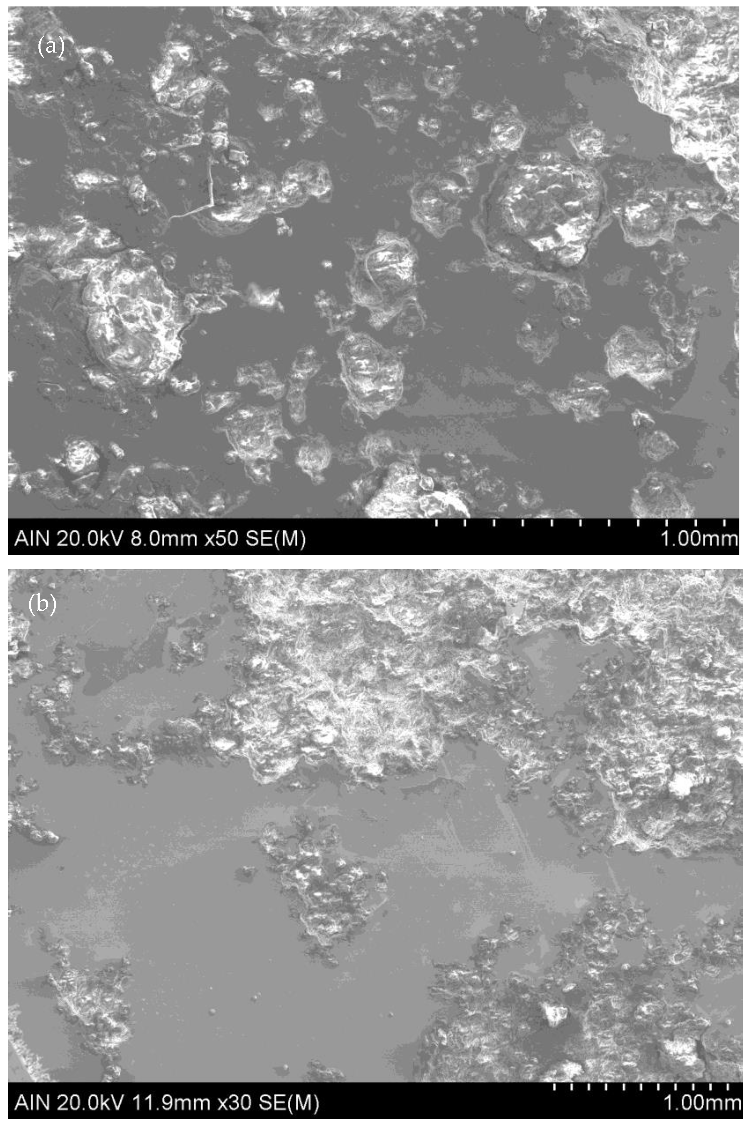 Coatings 13 01871 g014
