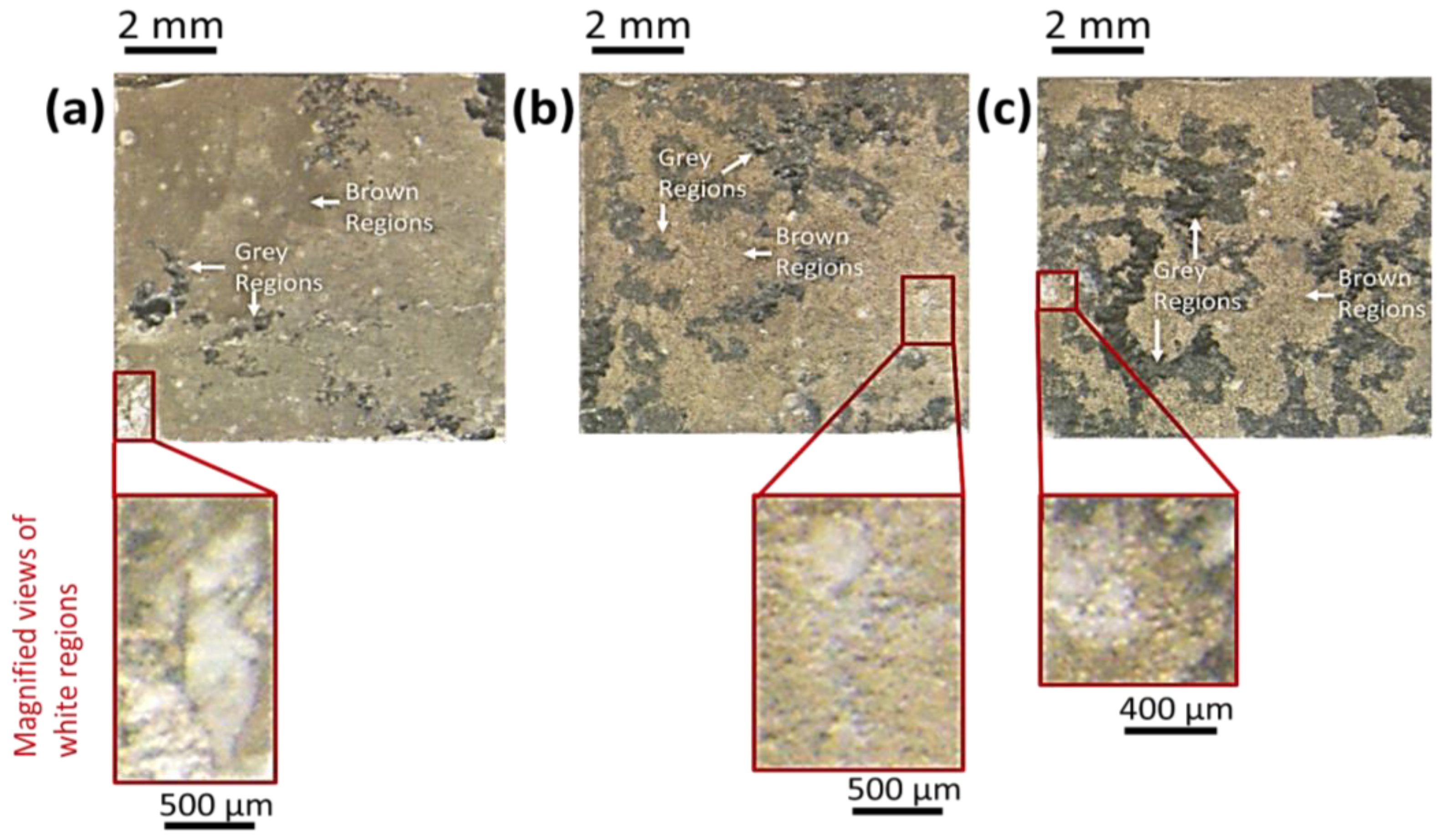 Coatings 13 01876 g010
