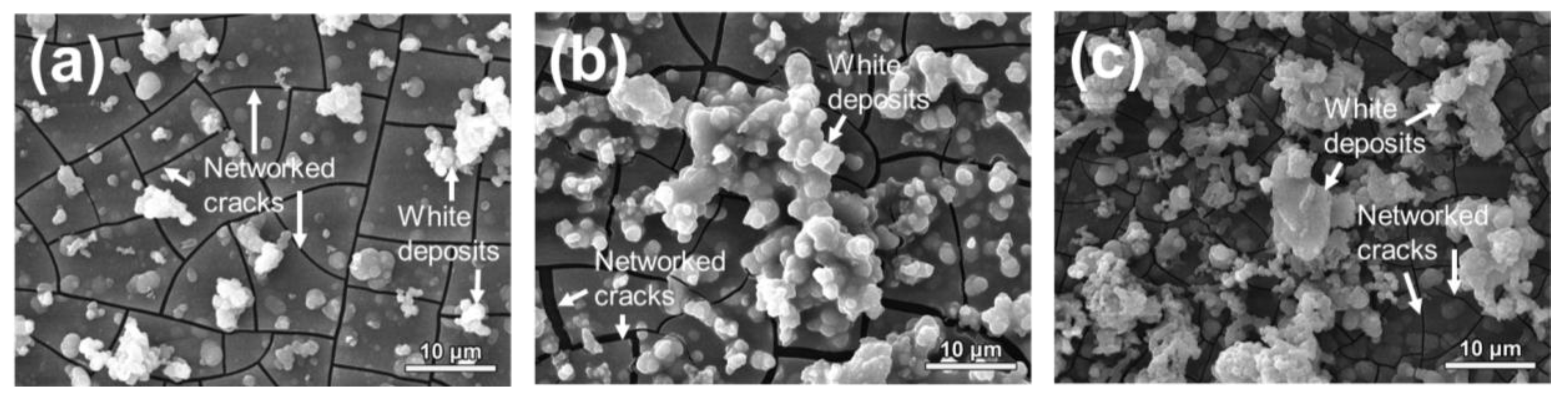 Coatings 13 01876 g012