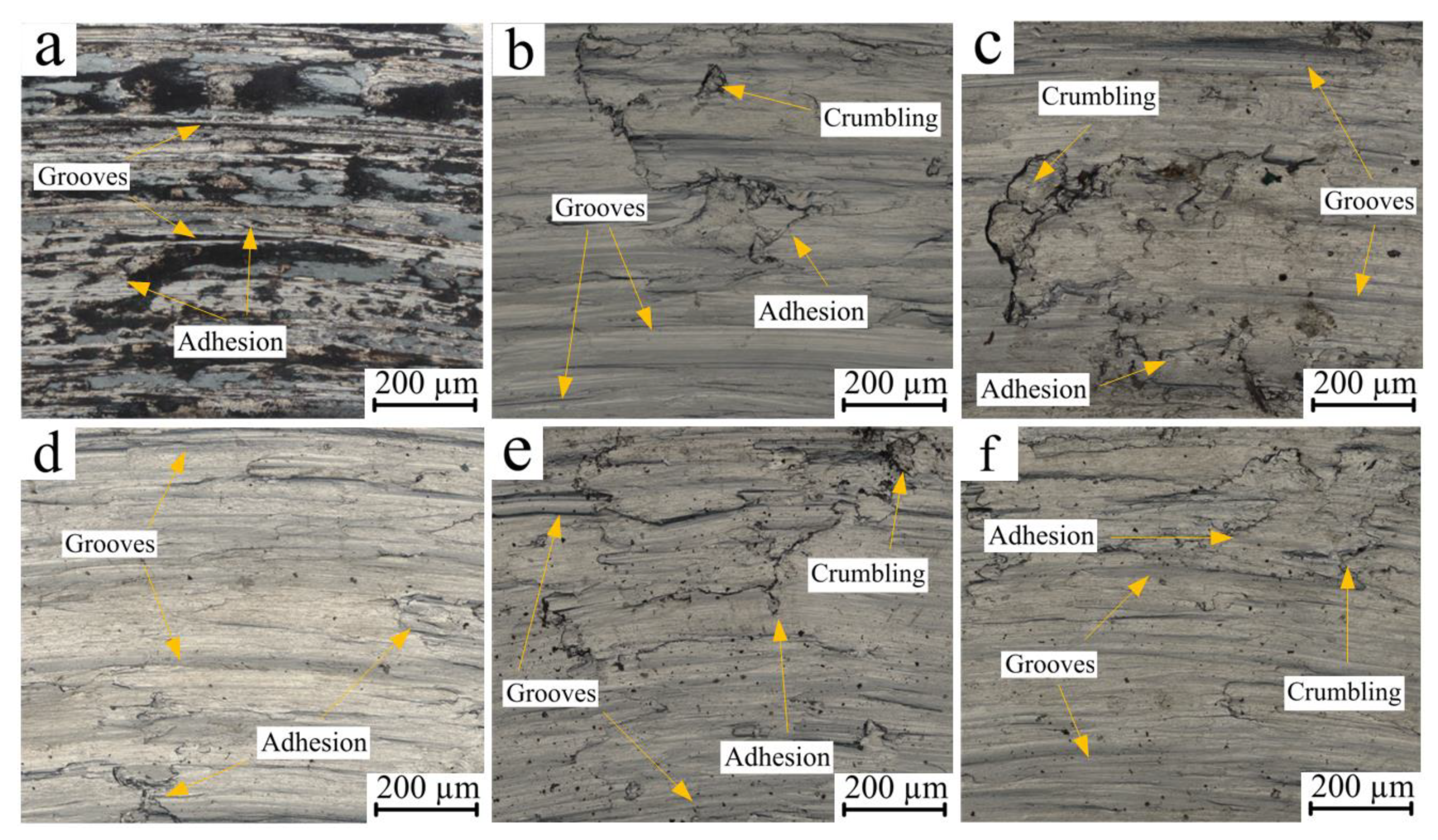 Coatings 13 01877 g008