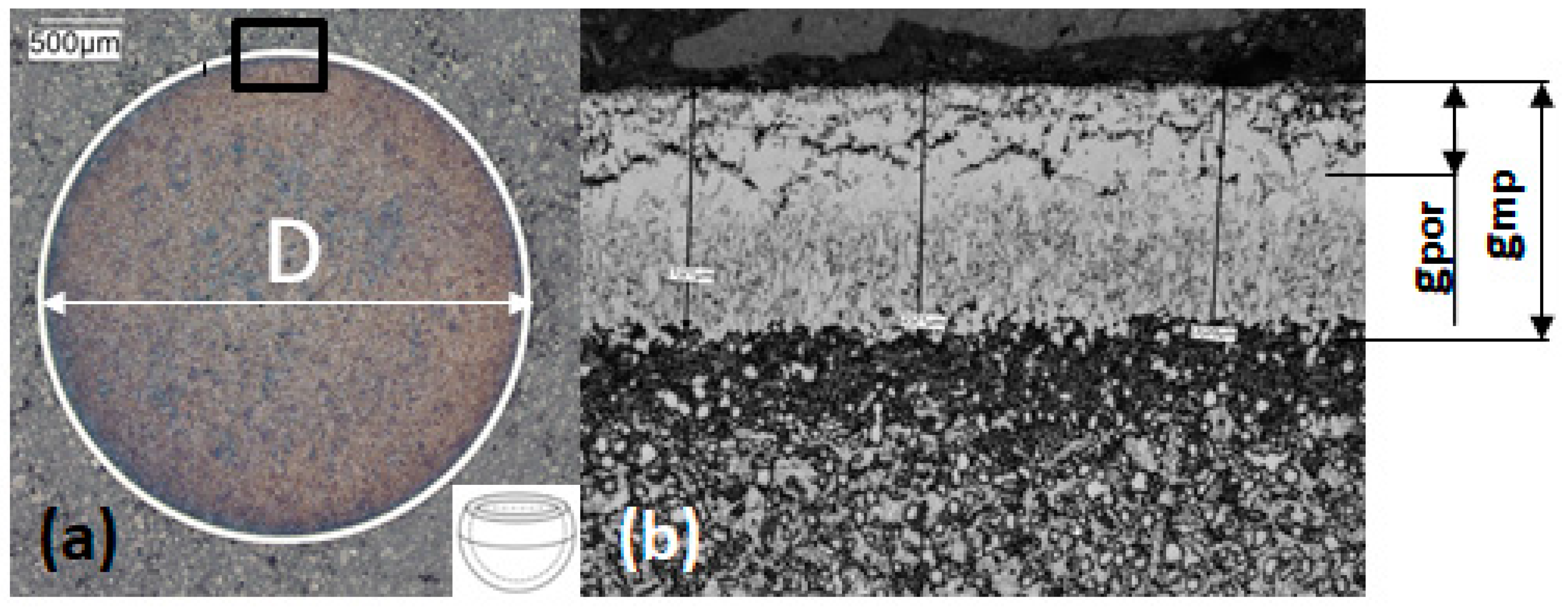 Coatings 13 01882 g001