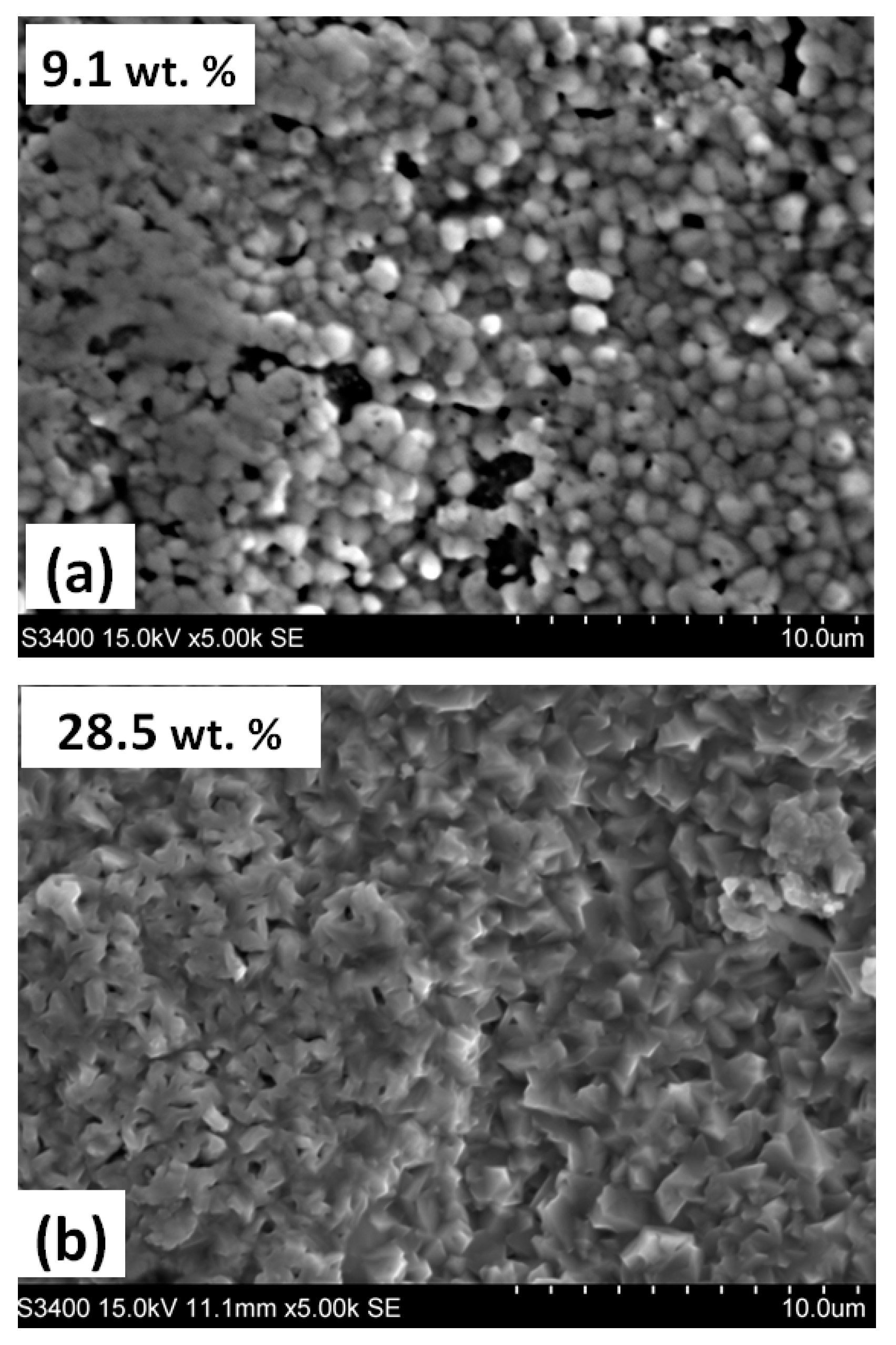 Coatings 13 01882 g009
